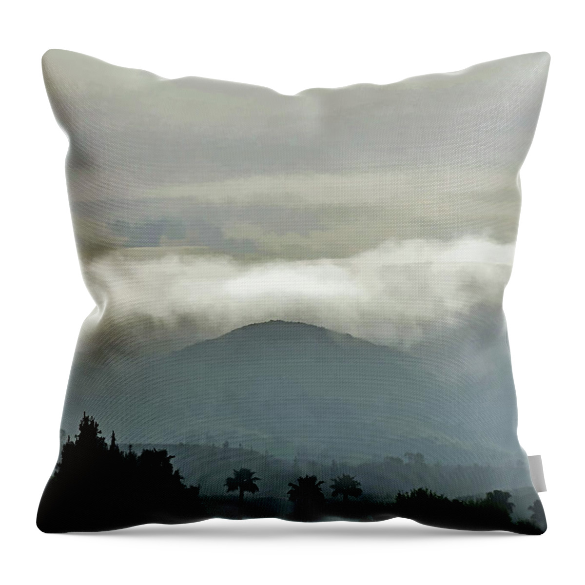 Linda Brody Throw Pillow featuring the digital art Fog Bank in the Morning Painterly II by Linda Brody