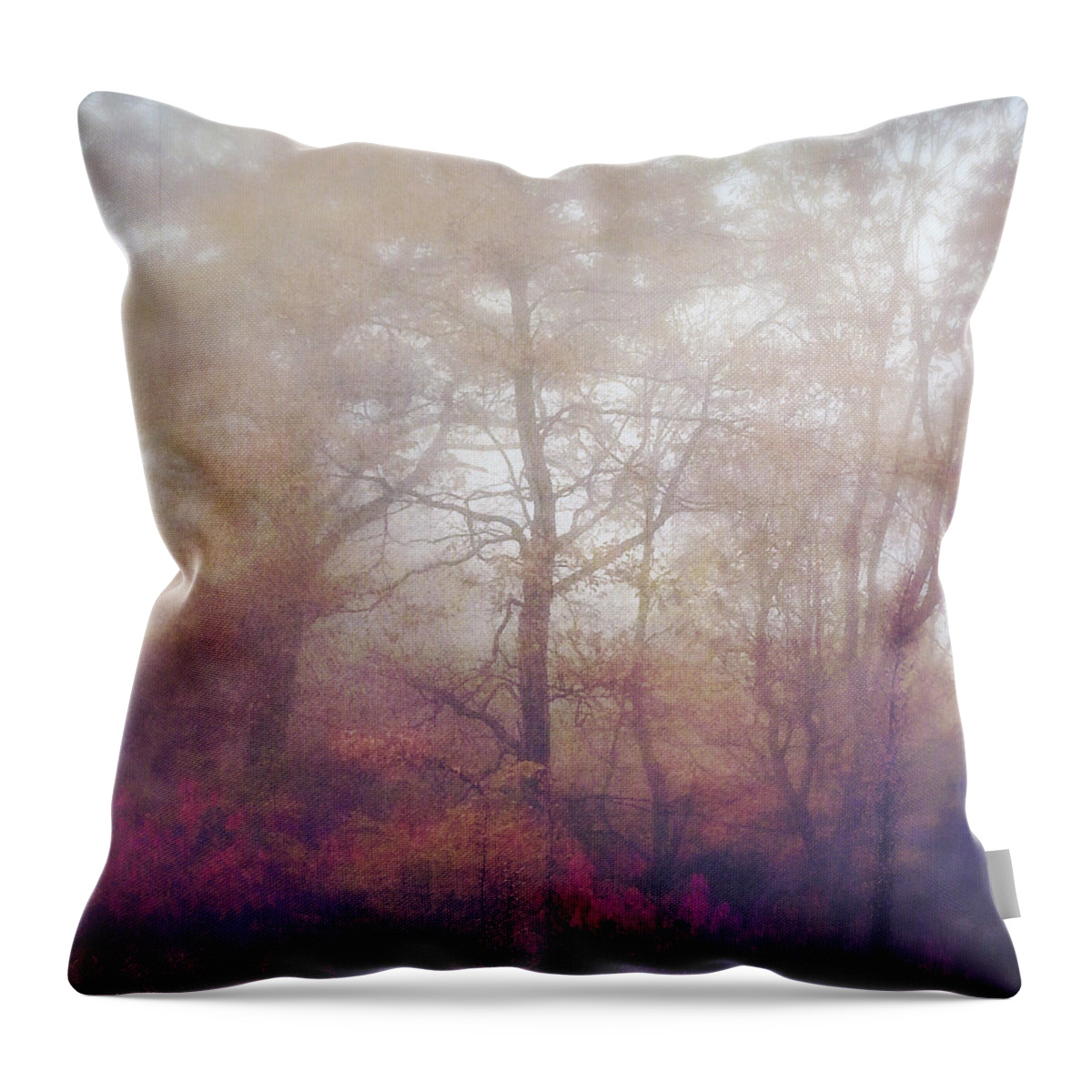 Photography Throw Pillow featuring the photograph Fog In Autumn Mountain Woods by Melissa D Johnston