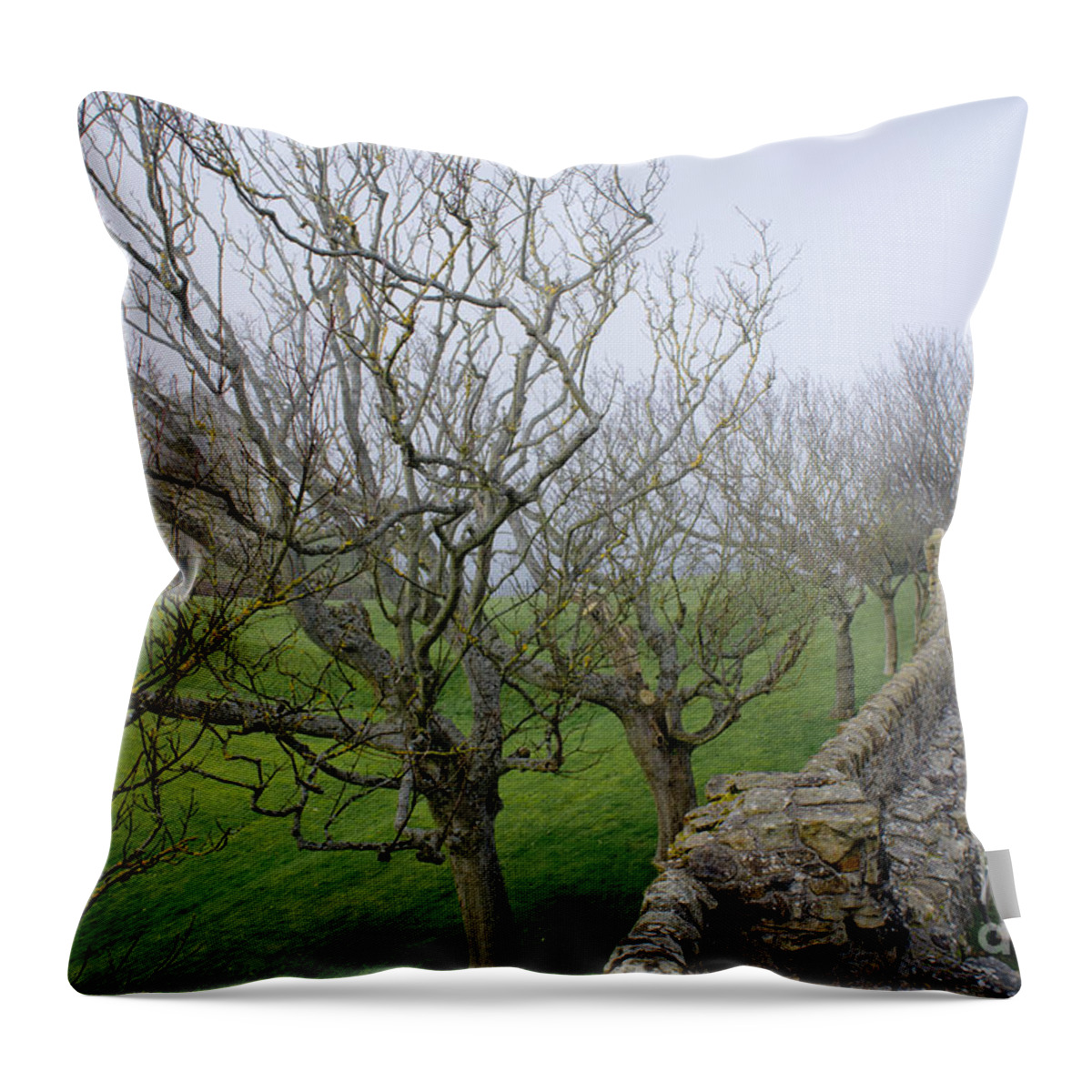 Fog Throw Pillow featuring the photograph Fog is Growing. by Elena Perelman