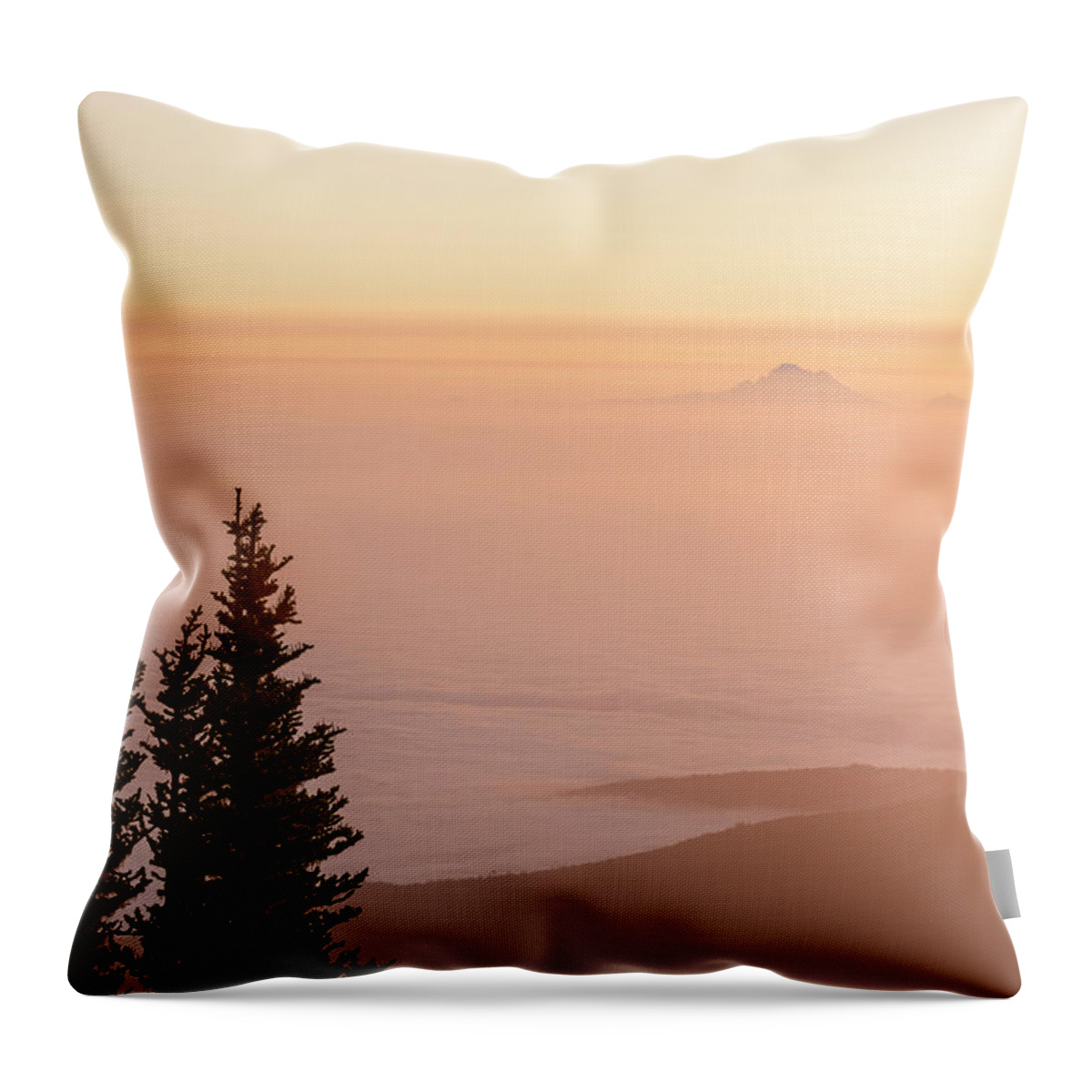 Hurricaine Ridge Throw Pillow featuring the photograph Fog Settling In by Jon Glaser