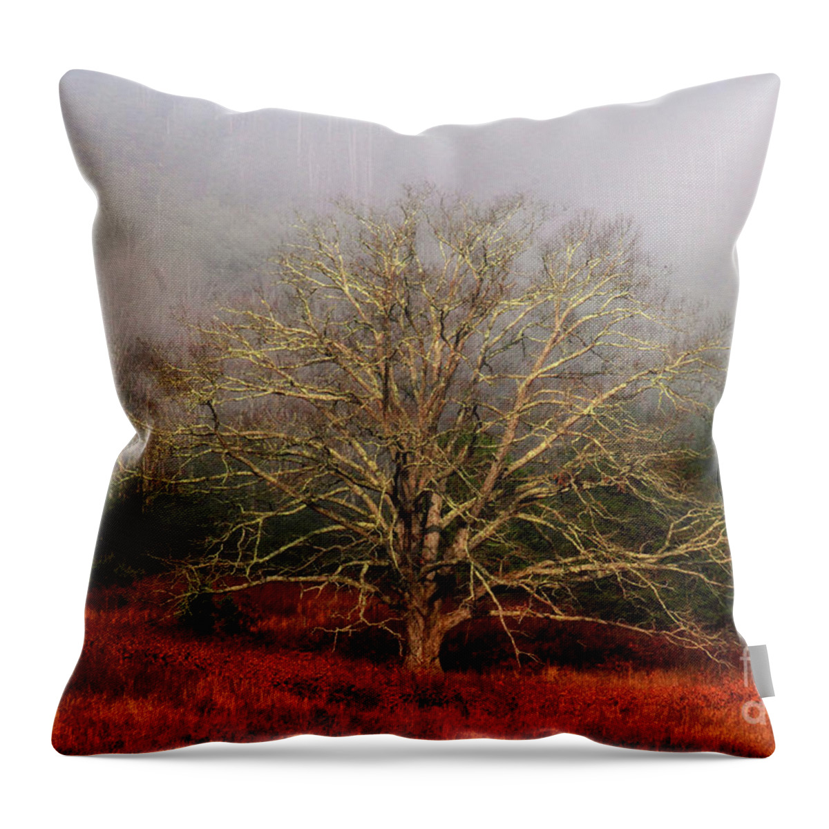 Fog Throw Pillow featuring the photograph Fog Tree by Geraldine DeBoer