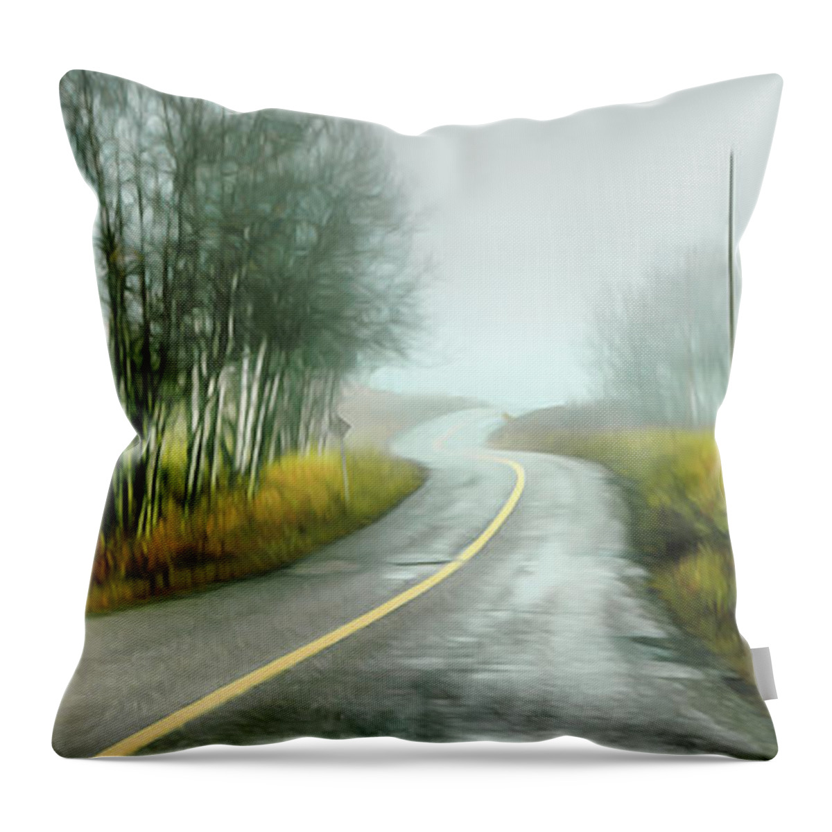 Theresa Tahara Throw Pillow featuring the photograph Fog Up By Pinantan Lake by Theresa Tahara