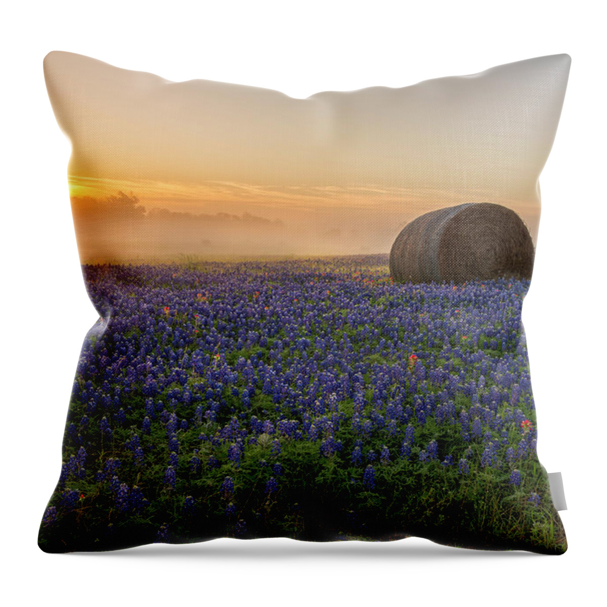Bluebonnet Throw Pillow featuring the photograph Foggy Bluebonnet Sunrise - Independence Texas by Brian Harig