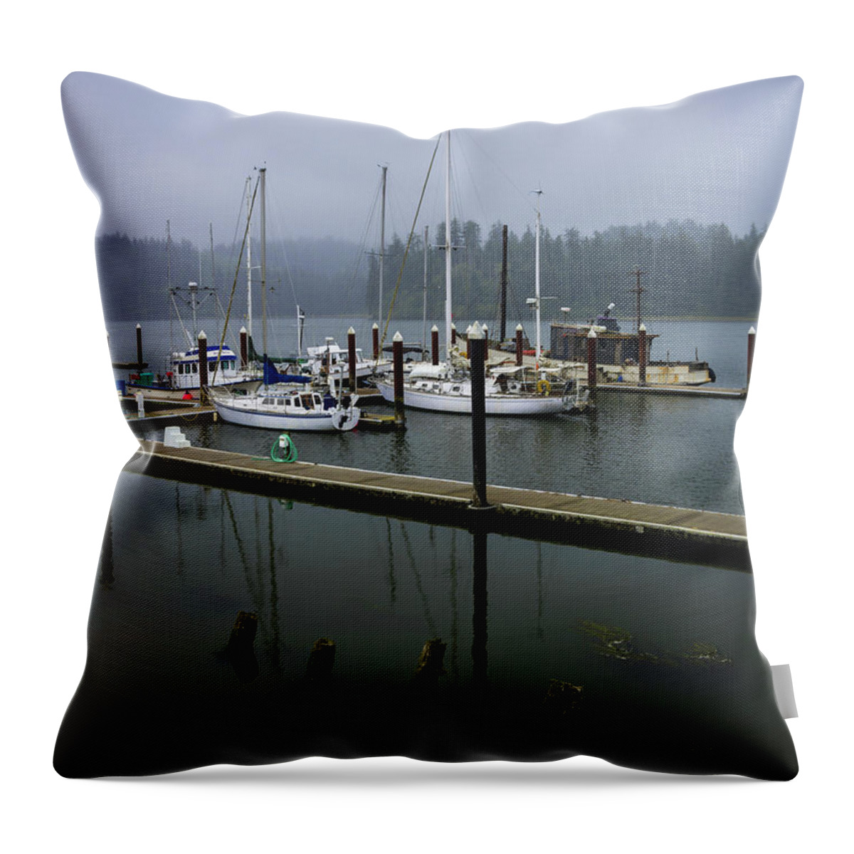 Photography Throw Pillow featuring the photograph Foggy Florence by Steven Clark