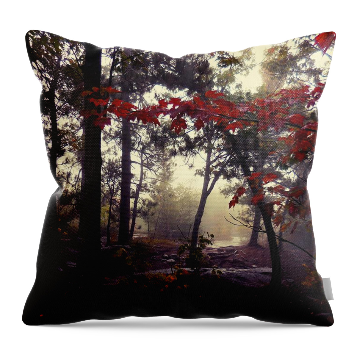 Forest Throw Pillow featuring the photograph Foggy forest by Ryan Cruse