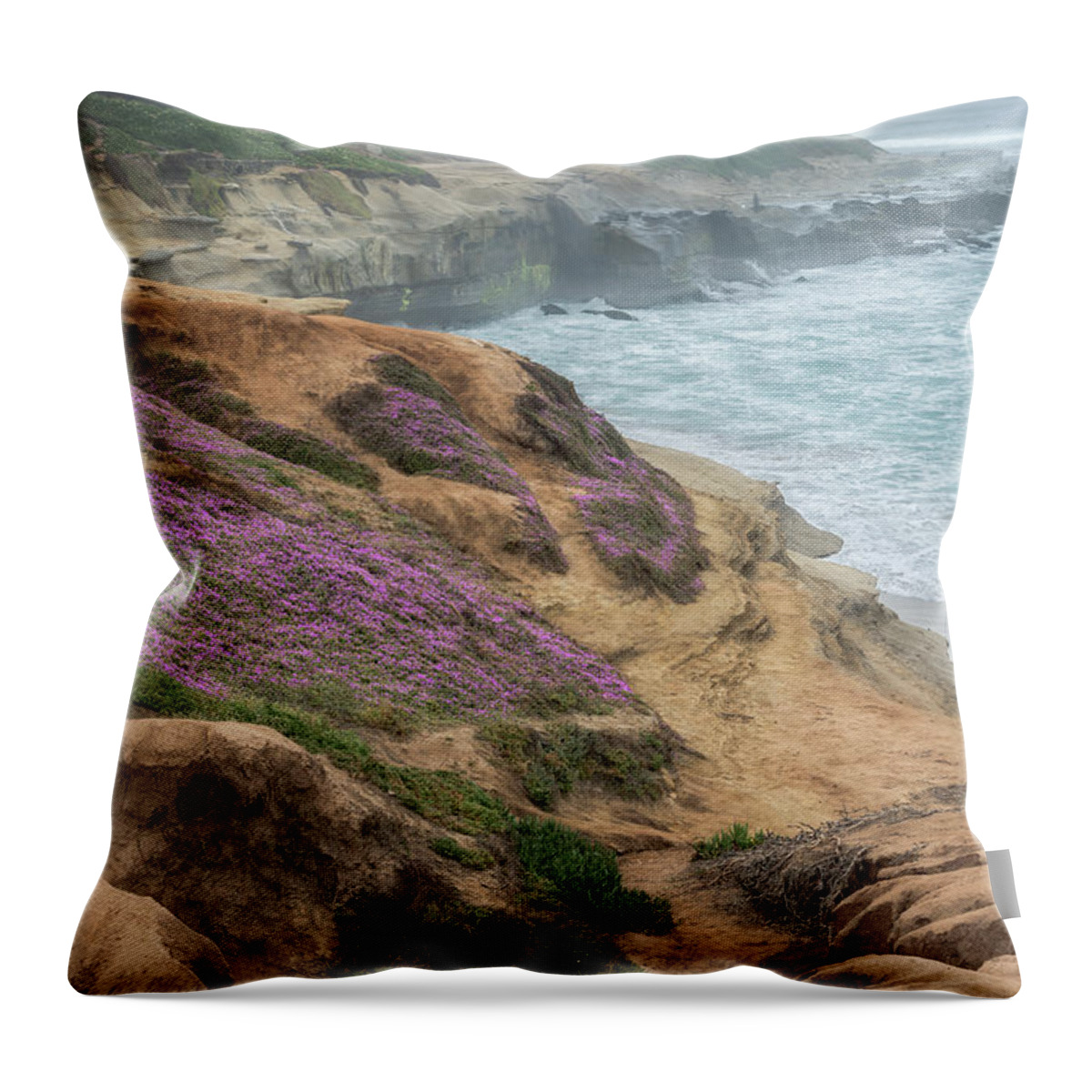 Beach Throw Pillow featuring the photograph Foggy Morning At Cuvier Park by Al Andersen