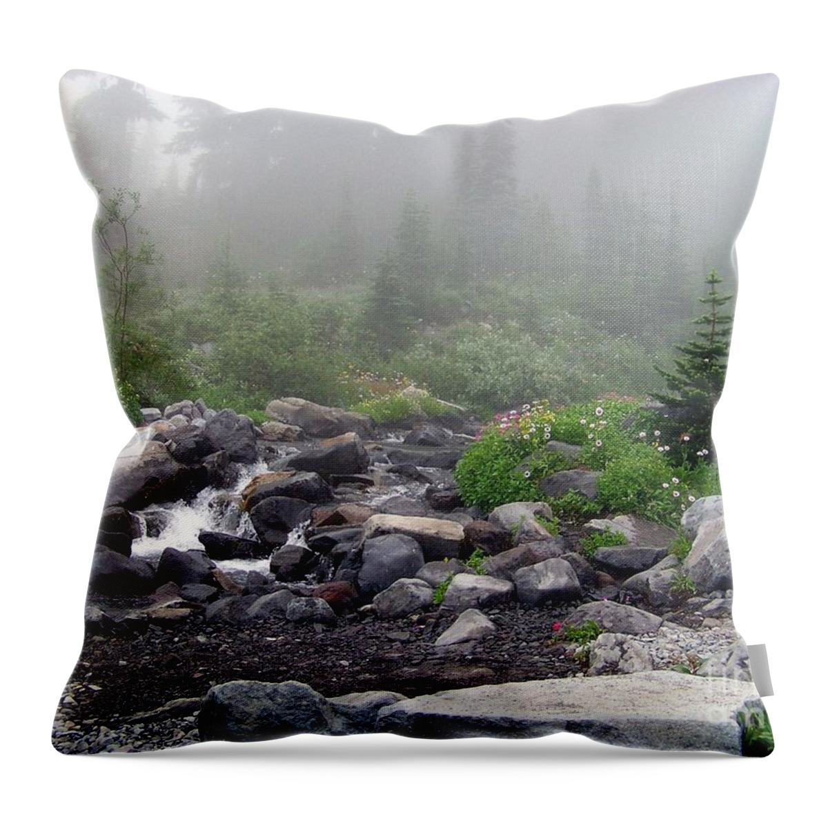 Fog Throw Pillow featuring the photograph Foggy Morning at Paradise by Charles Robinson