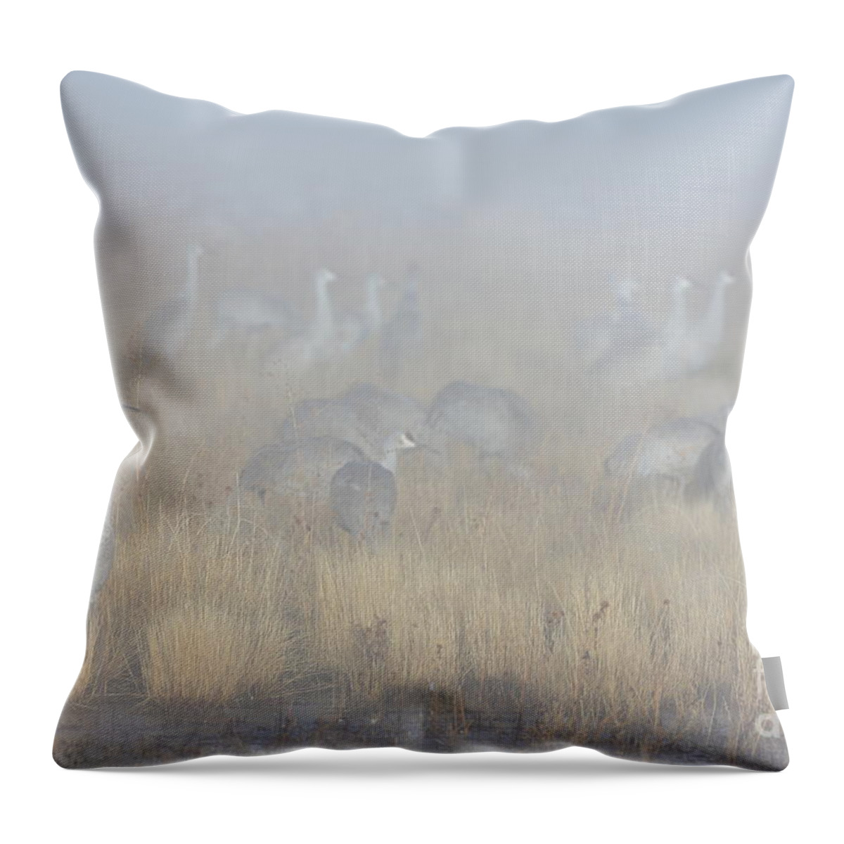 Cranes Throw Pillow featuring the photograph Foggy morning at Bosque del Apache by Bryan Keil