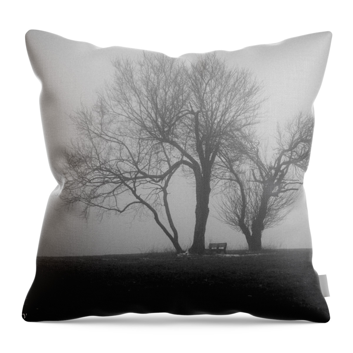 Landscape Throw Pillow featuring the photograph Foggy Morning by Debbie Gracy