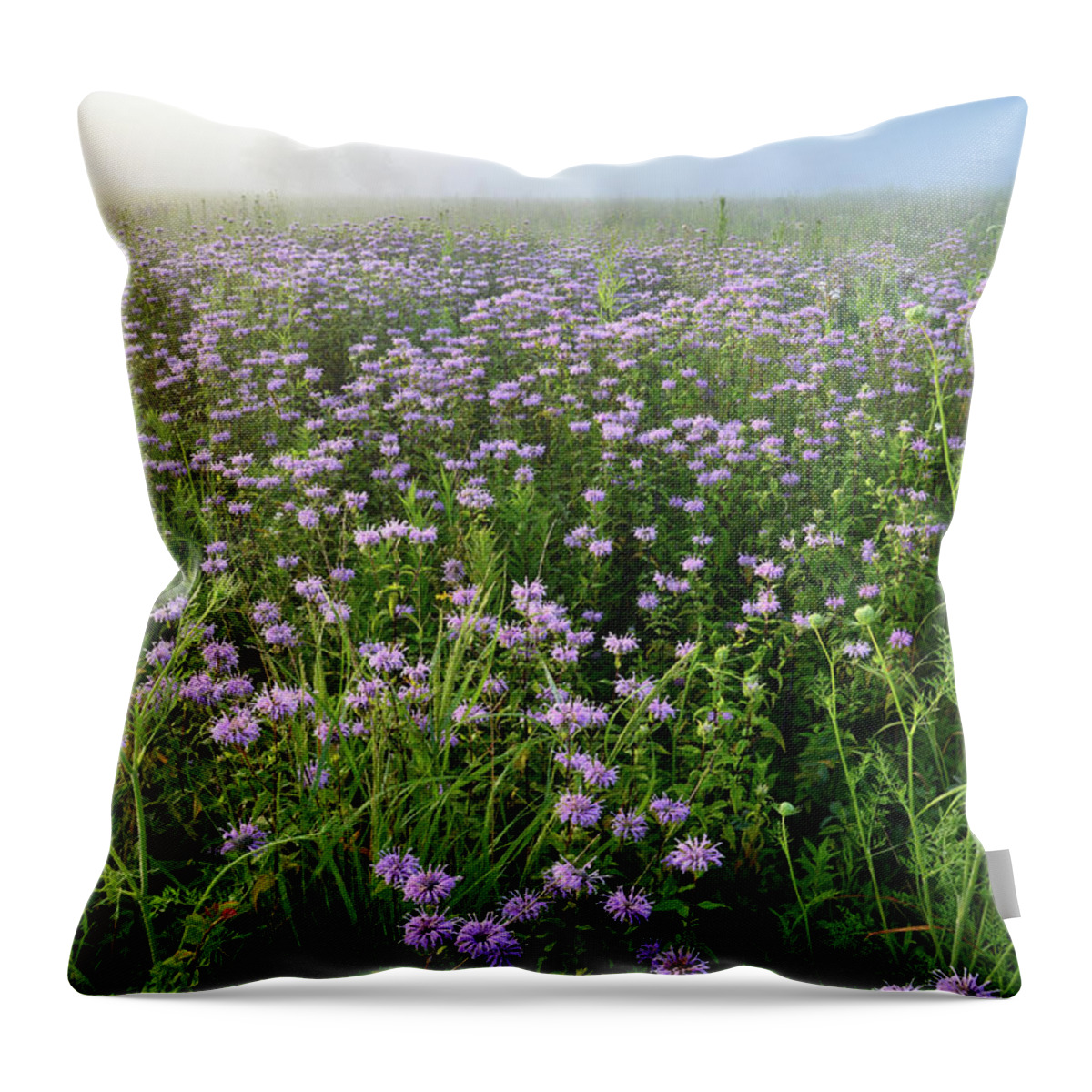 Mchenry County Conservation District Throw Pillow featuring the photograph Foggy Morning in Glacial Park by Ray Mathis