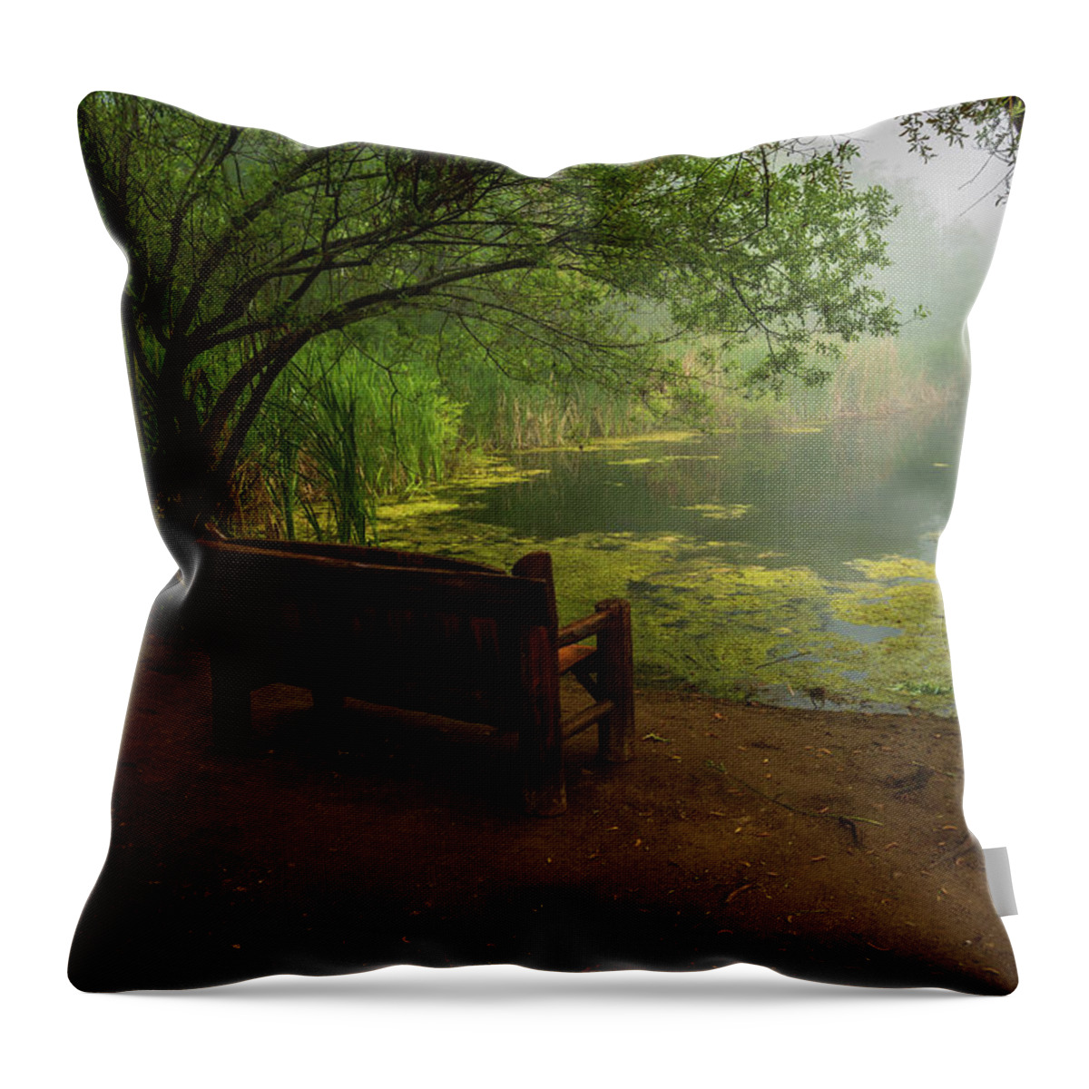 Fog Throw Pillow featuring the photograph Foggy Morning on the Pond by Rick Strobaugh