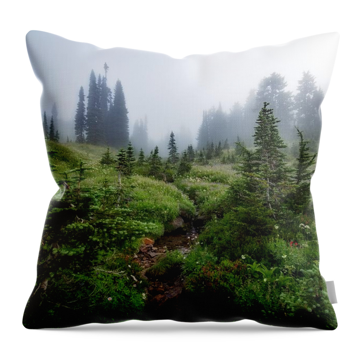 Foggy Morning On The Trail Throw Pillow featuring the photograph Foggy morning on the trail by Lynn Hopwood