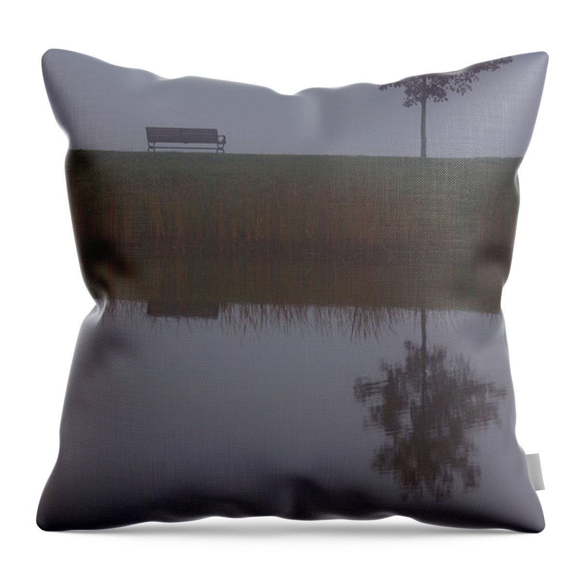 Bench Throw Pillow featuring the photograph Foggy Reflection by Brooke Bowdren
