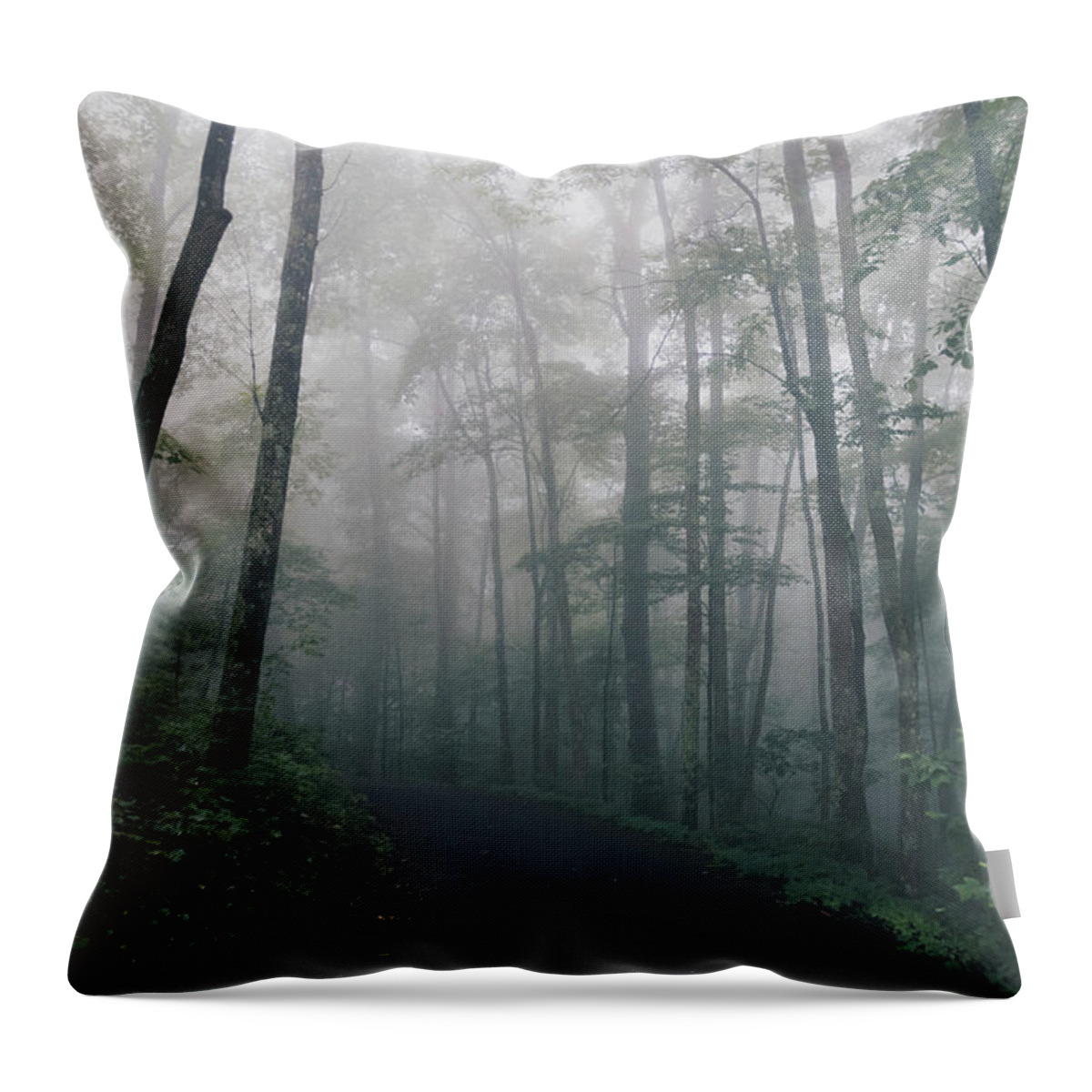 Mountain Throw Pillow featuring the photograph Foggy Sunrise by Andrea Anderegg