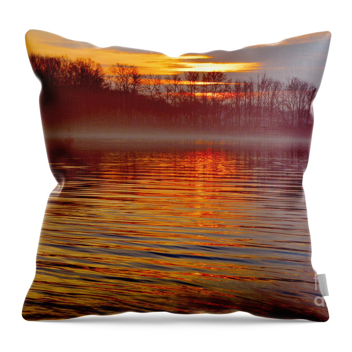 Foggy Throw Pillow featuring the photograph Foggy Sunrise At The Delaware River by Robyn King