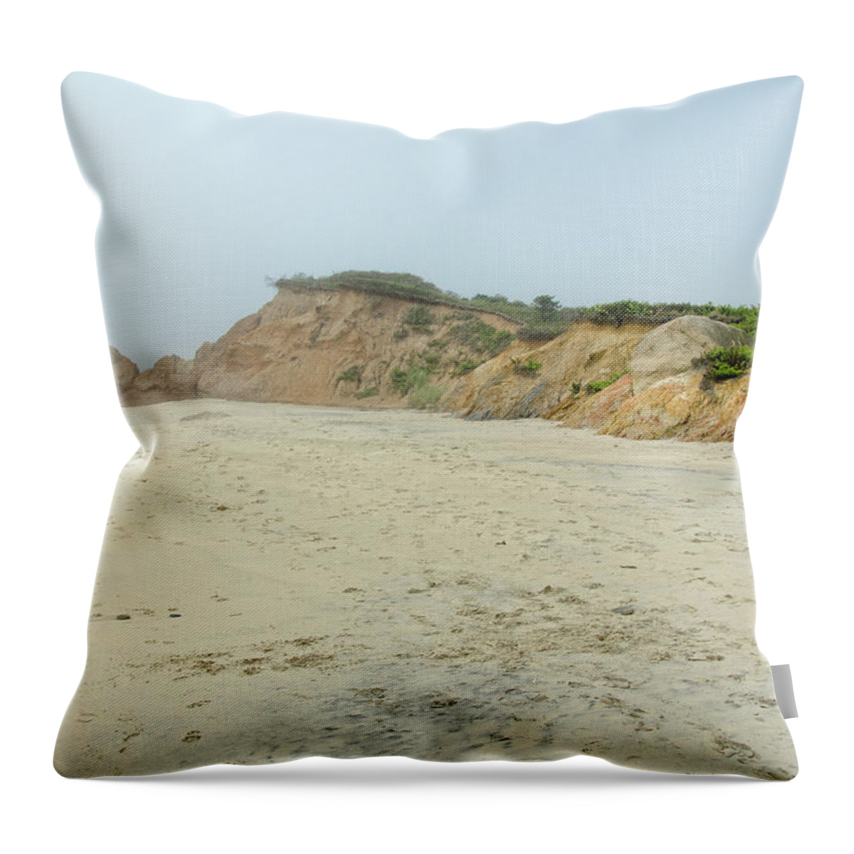 Cape Throw Pillow featuring the photograph Foggy Vineyard Beach by Donna Doherty