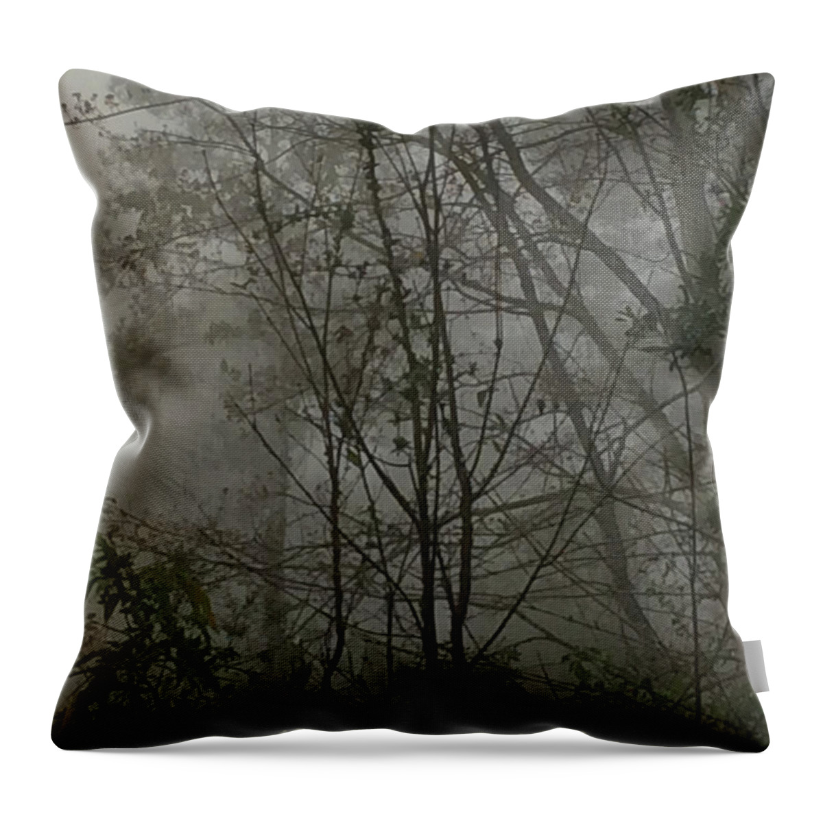 Fog Throw Pillow featuring the photograph Foggy Woods Photo by Gina O'Brien