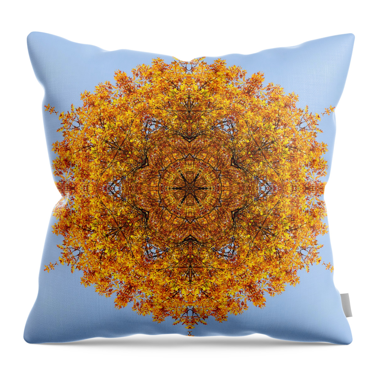 Orange Throw Pillow featuring the photograph Foliage Creations 18 by Lilia S