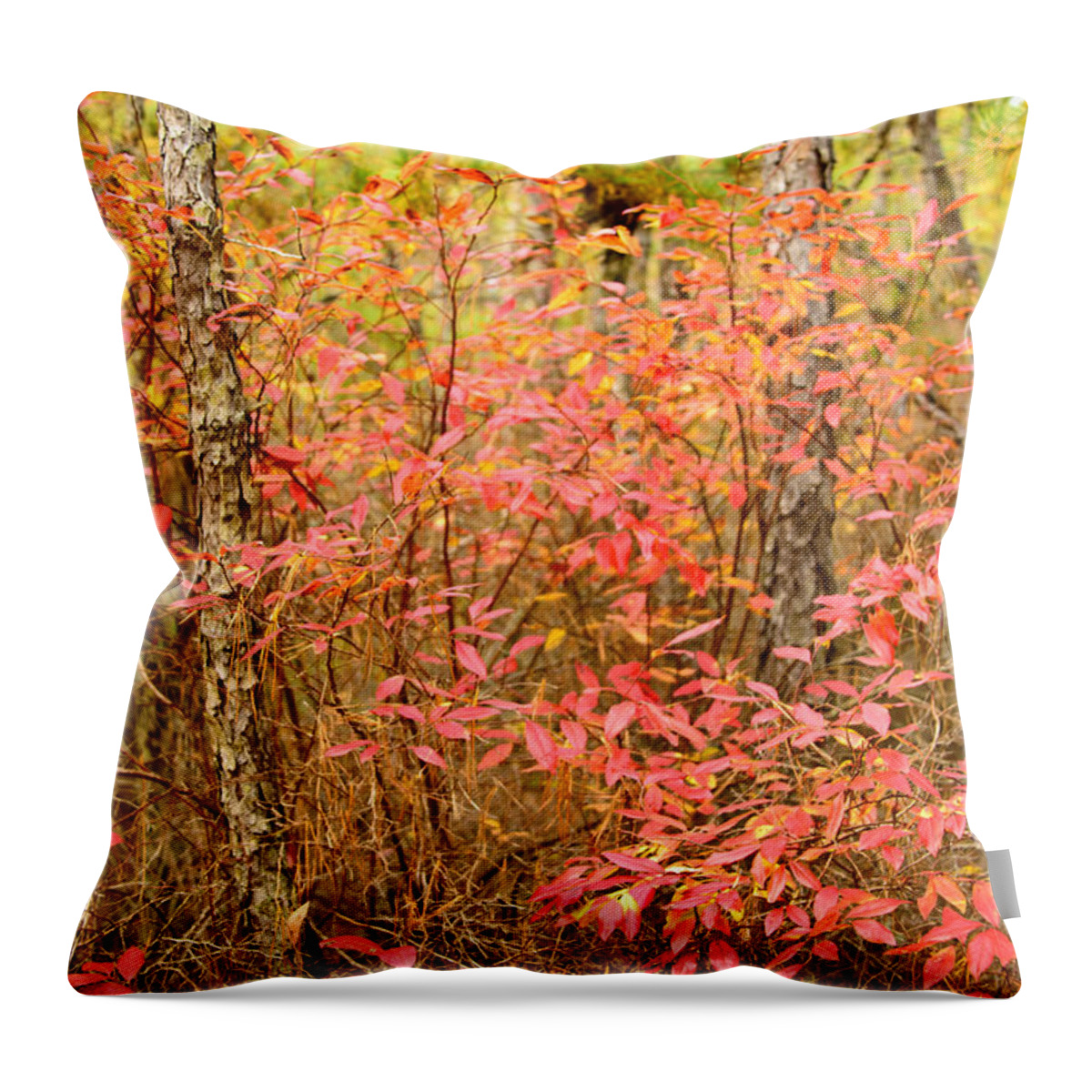 Autumn Throw Pillow featuring the photograph Foliage on Fire by Louis Dallara