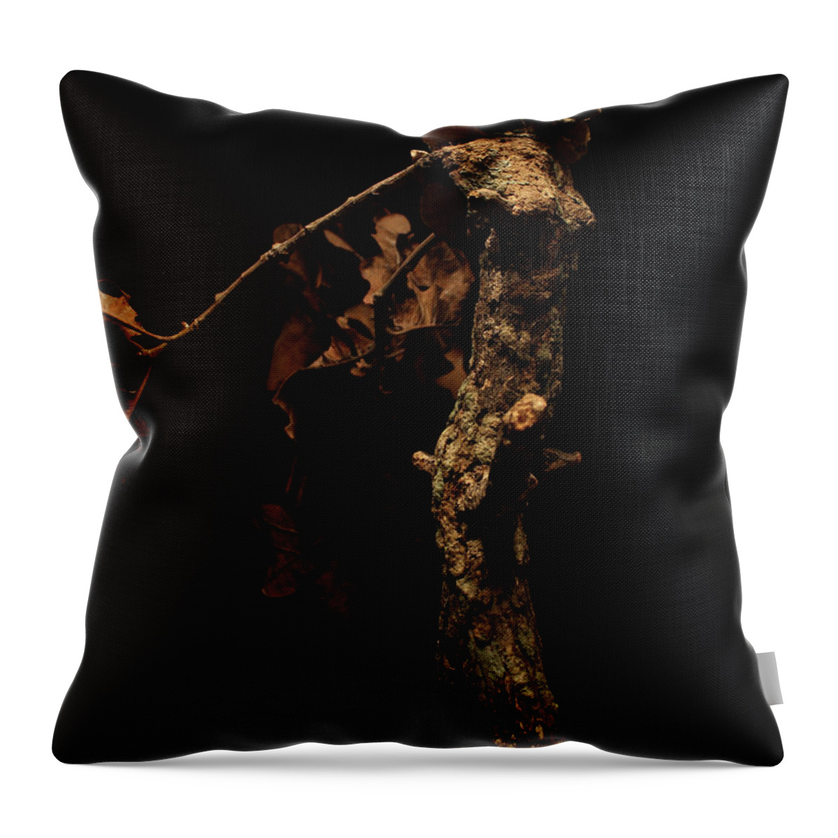 Art Throw Pillow featuring the mixed media Foliated Victory detail by Adam Long