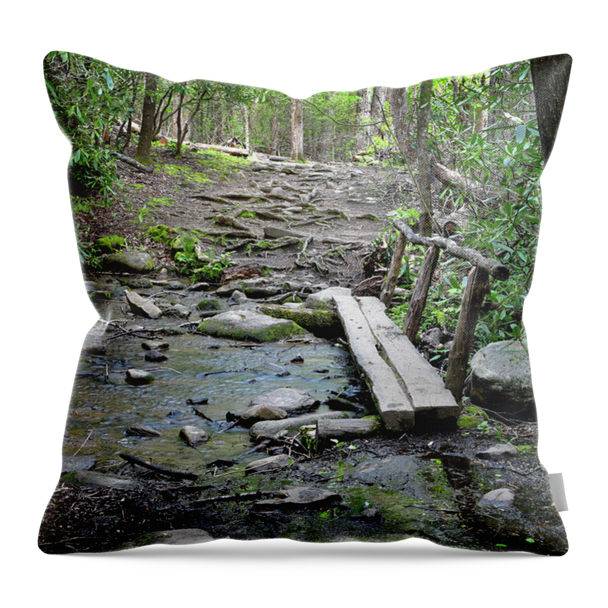 Follow Throw Pillow featuring the photograph Follow Me by Nicholas Blackwell