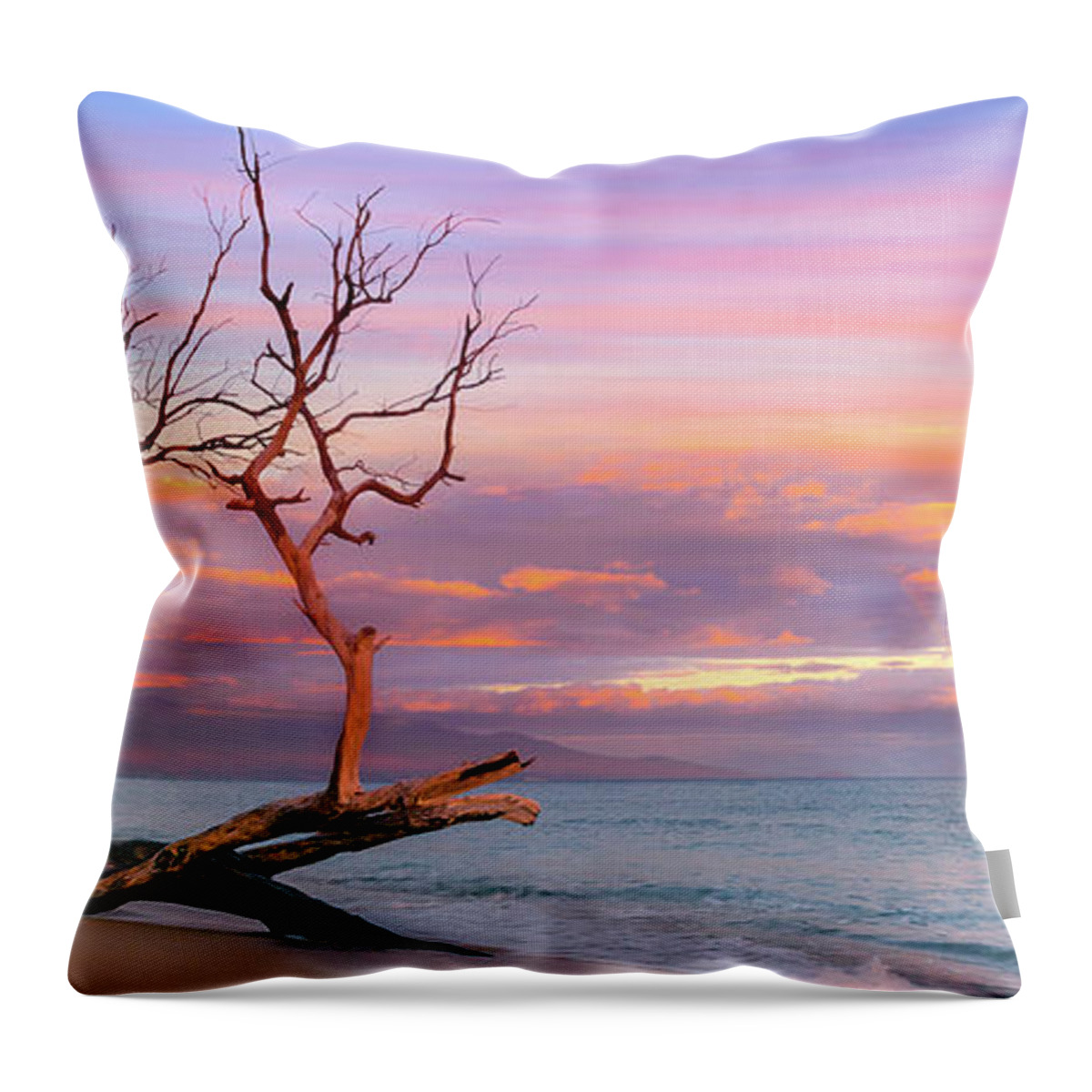 Sunset Maui Hawaii Ukemehame Dead Tree Rainbow Seascape Throw Pillow featuring the photograph Follow The Rainbow by James Roemmling