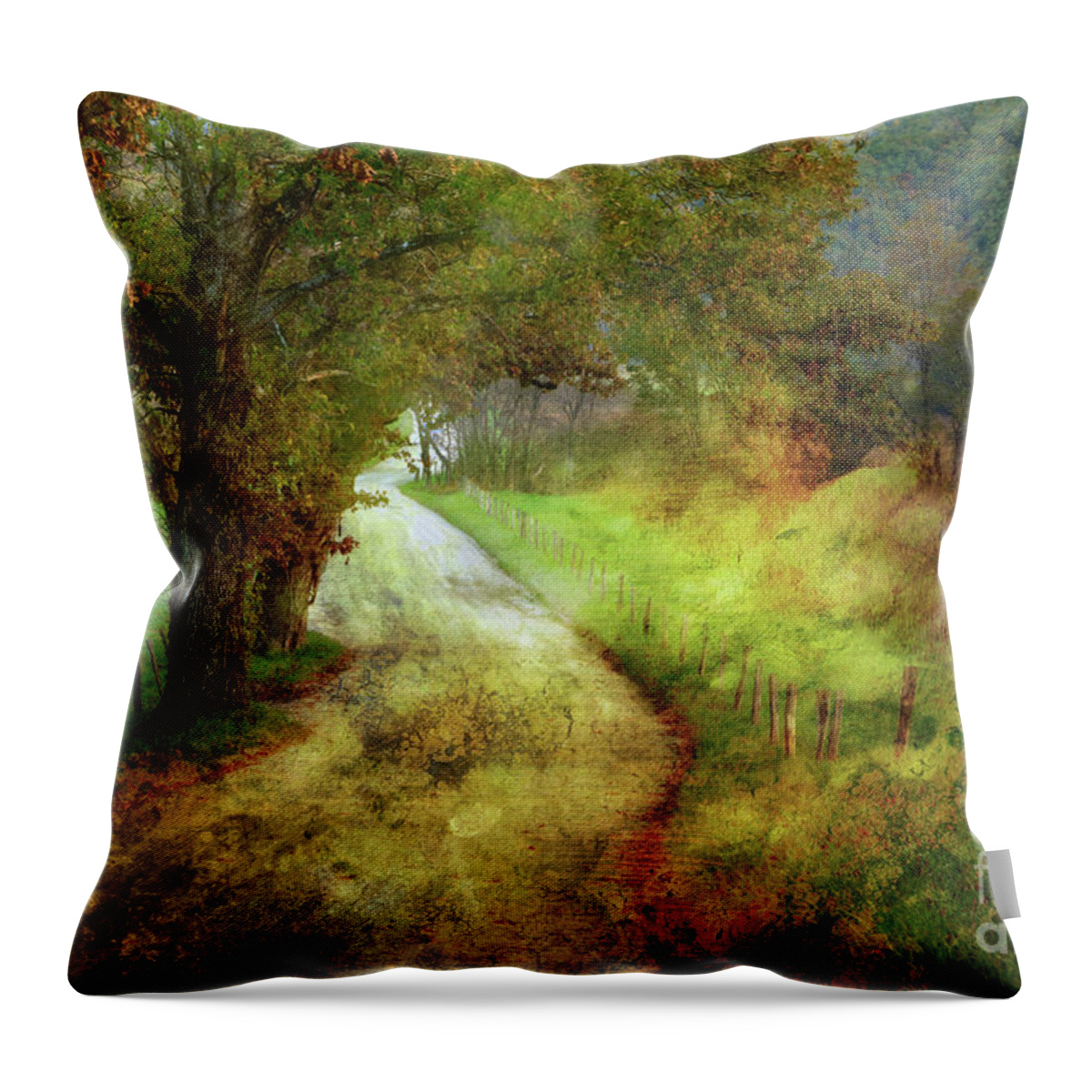 Country Lane Throw Pillow featuring the photograph Following My Vision by Michael Eingle