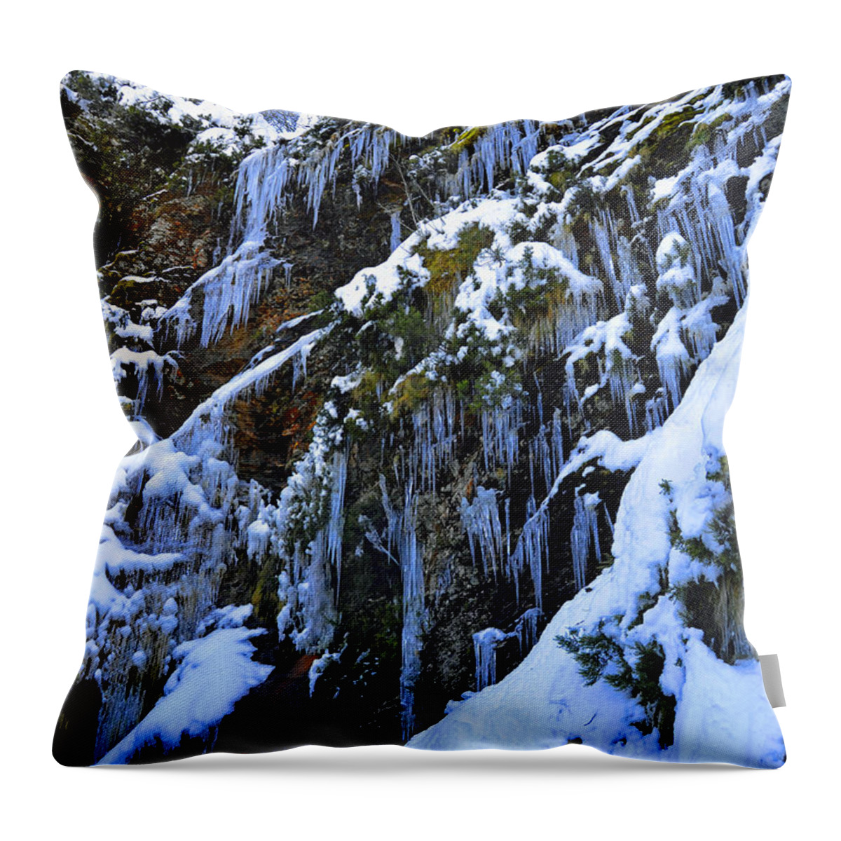 Fuente Throw Pillow featuring the photograph Fonte Do Cervo by Taly Amoedo