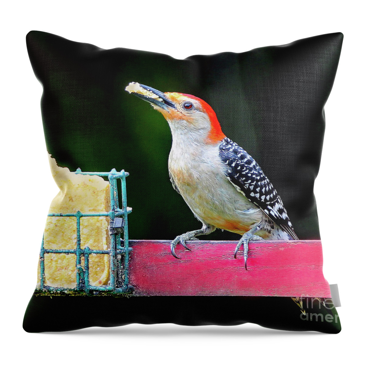 Nature Throw Pillow featuring the photograph Food For My Baby by DB Hayes