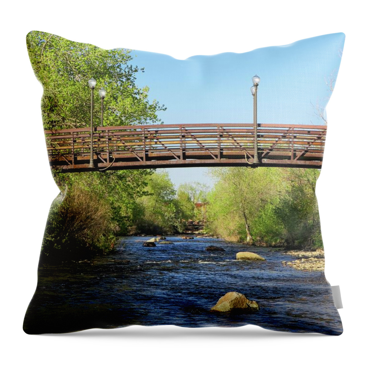Bridge Throw Pillow featuring the photograph Footbridge by Connor Beekman