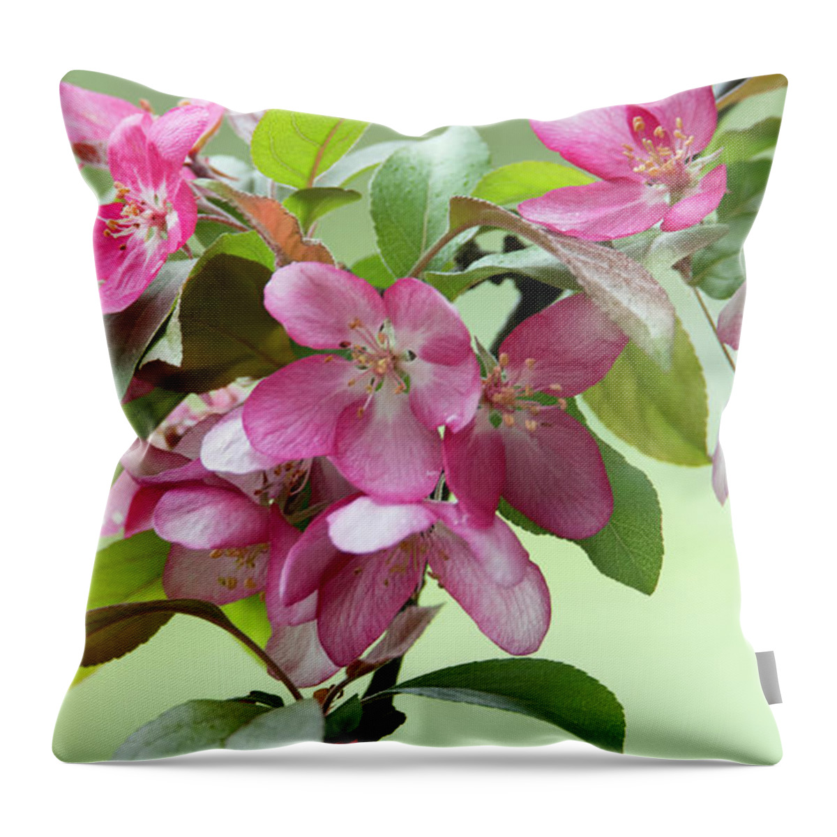 Blossoms Throw Pillow featuring the photograph For The Beauty of The Earth by Skip Tribby