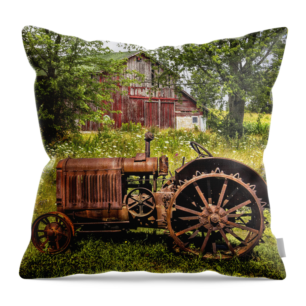 American Throw Pillow featuring the photograph Forefathers II by Debra and Dave Vanderlaan