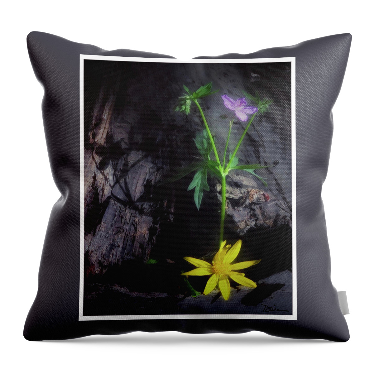 Wild Flowers Throw Pillow featuring the photograph Forest Beauties by Peggy Dietz
