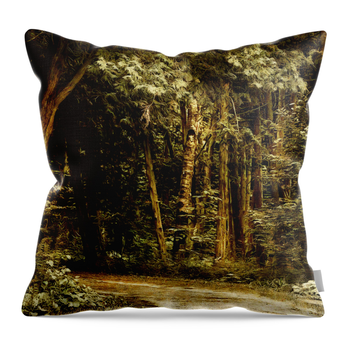 Forest Throw Pillow featuring the digital art Forest Curve by JGracey Stinson