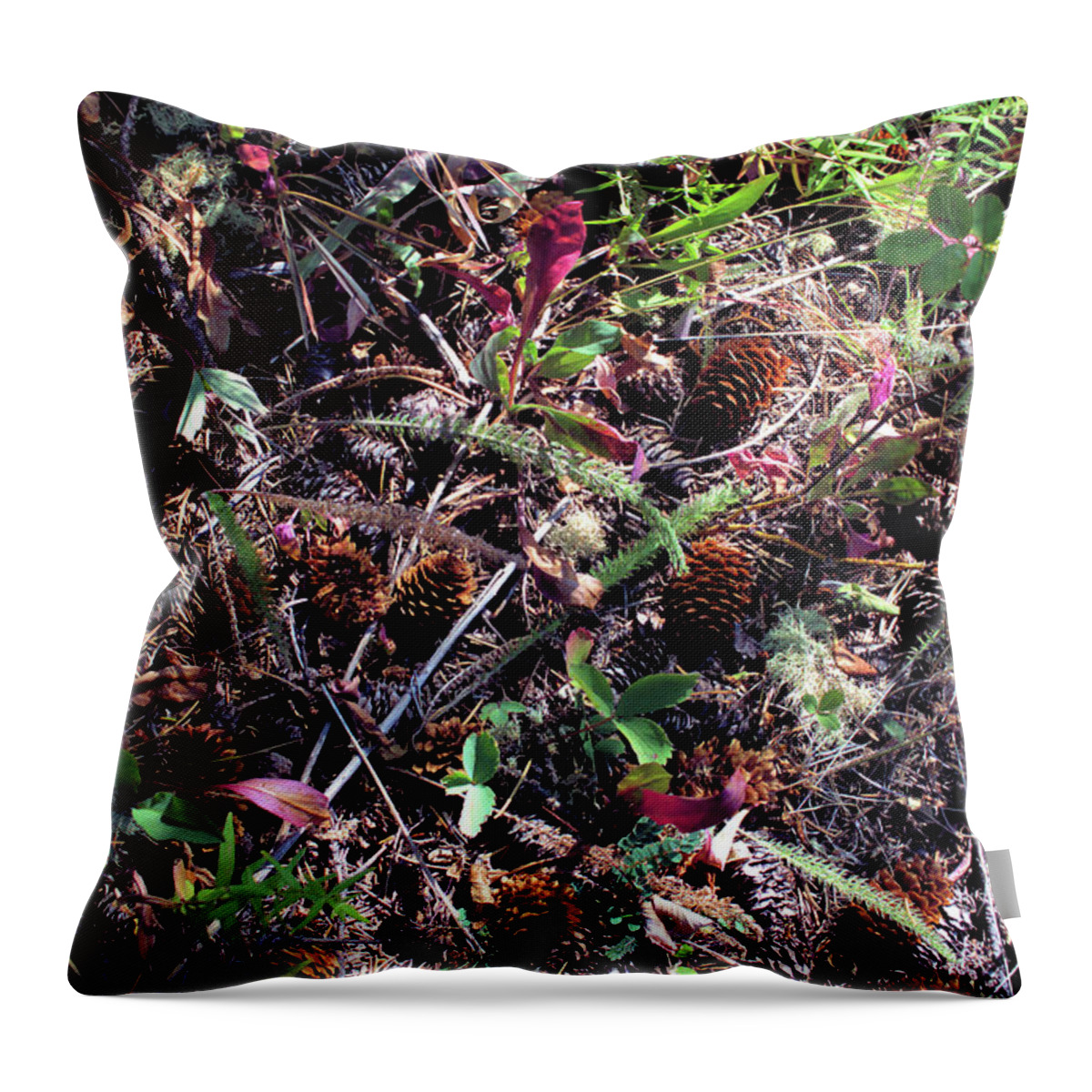 Pine Cones Throw Pillow featuring the photograph Forest Floor by Scott Carlton