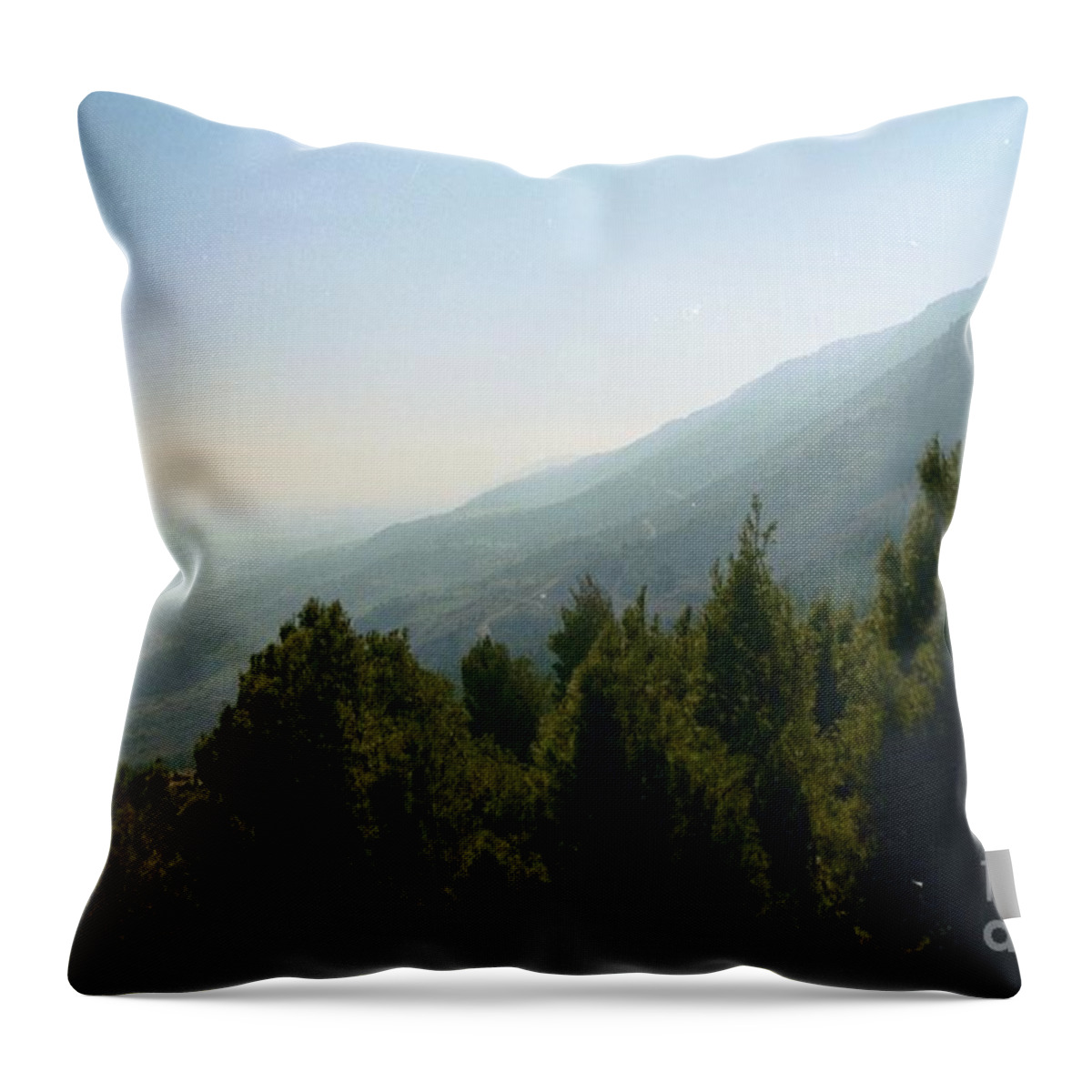 Nature Throw Pillow featuring the photograph Forest in Israel by Gail Kent
