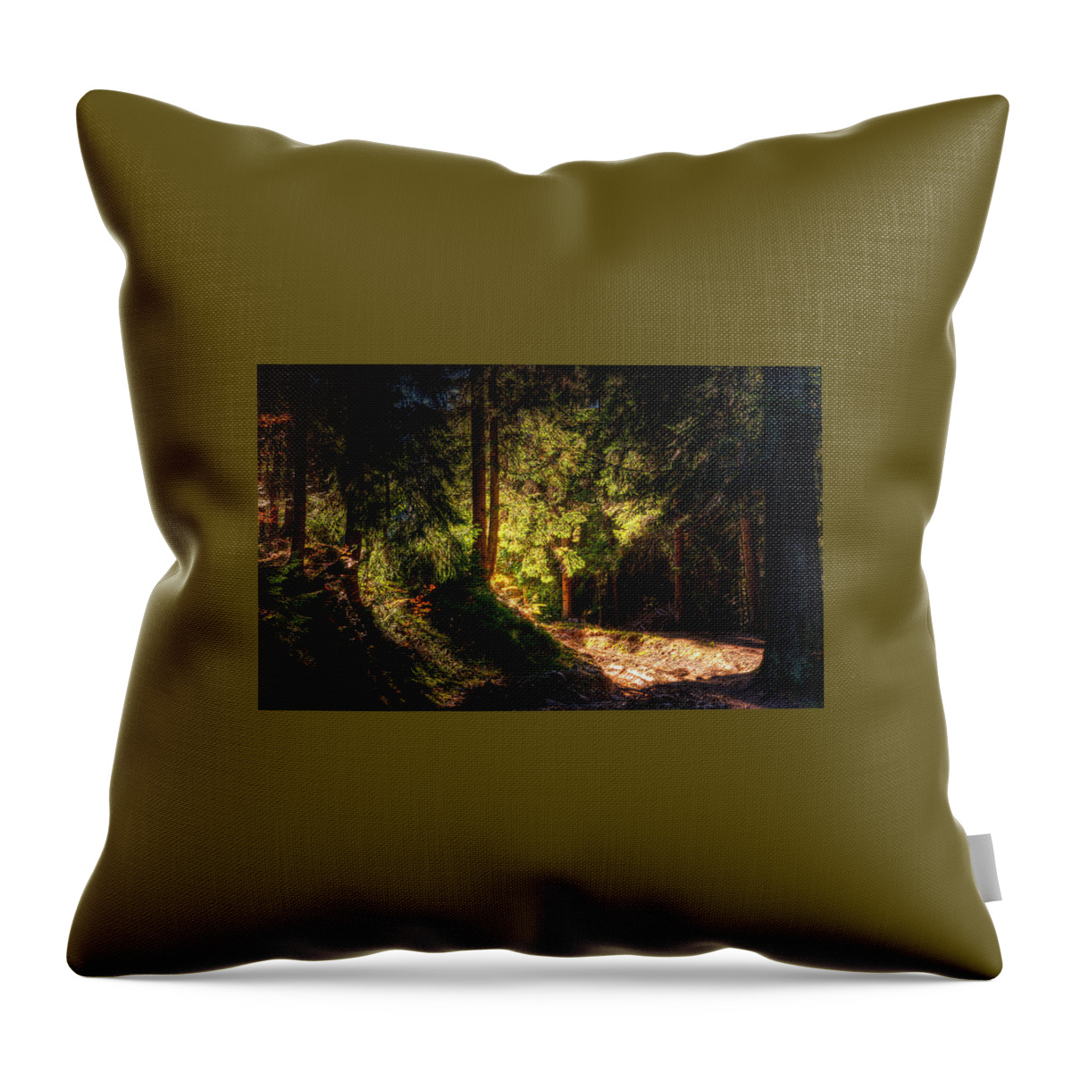 Forest Throw Pillow featuring the photograph Forest by Jackie Russo
