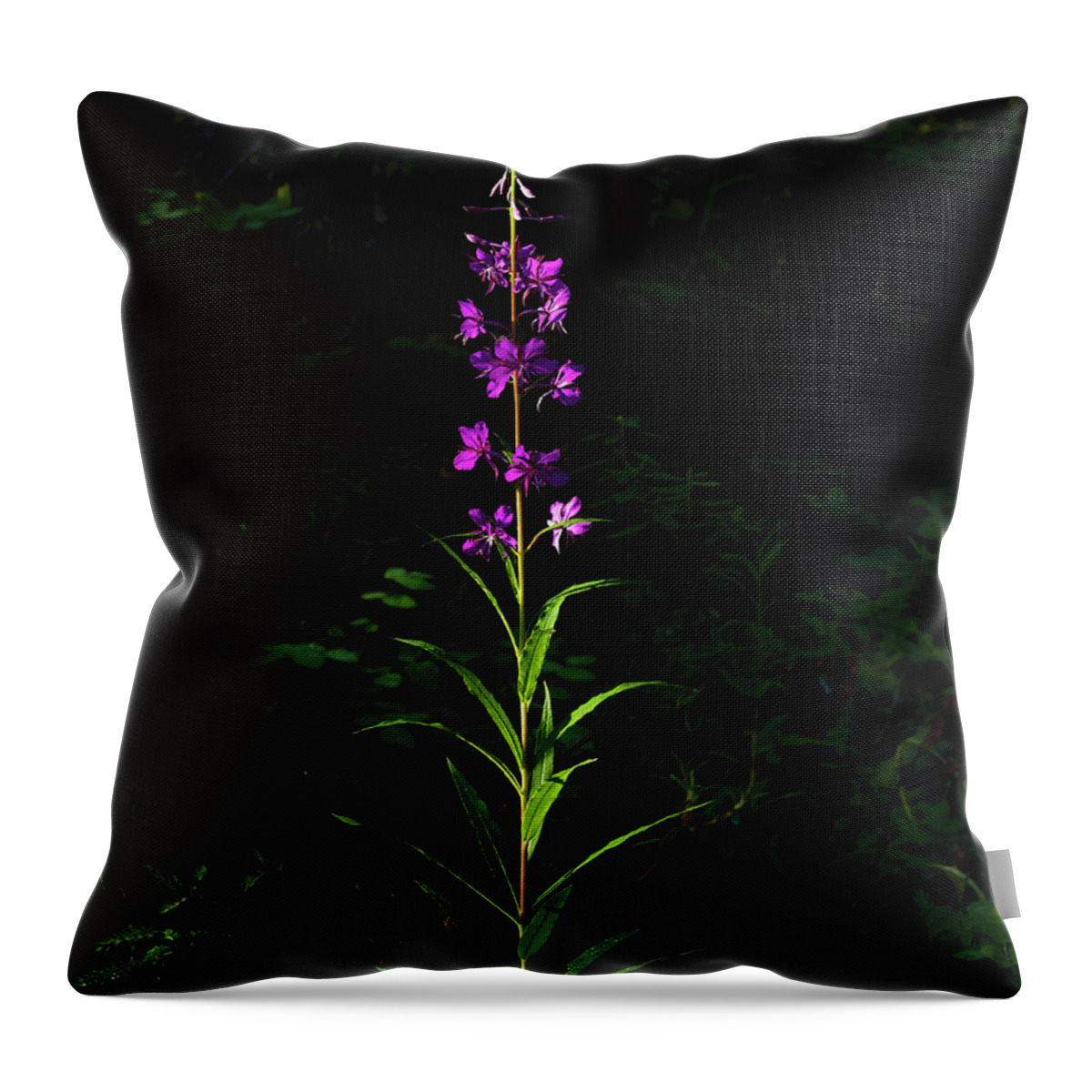 Alaska Throw Pillow featuring the photograph Forest Jewels by Fred Denner