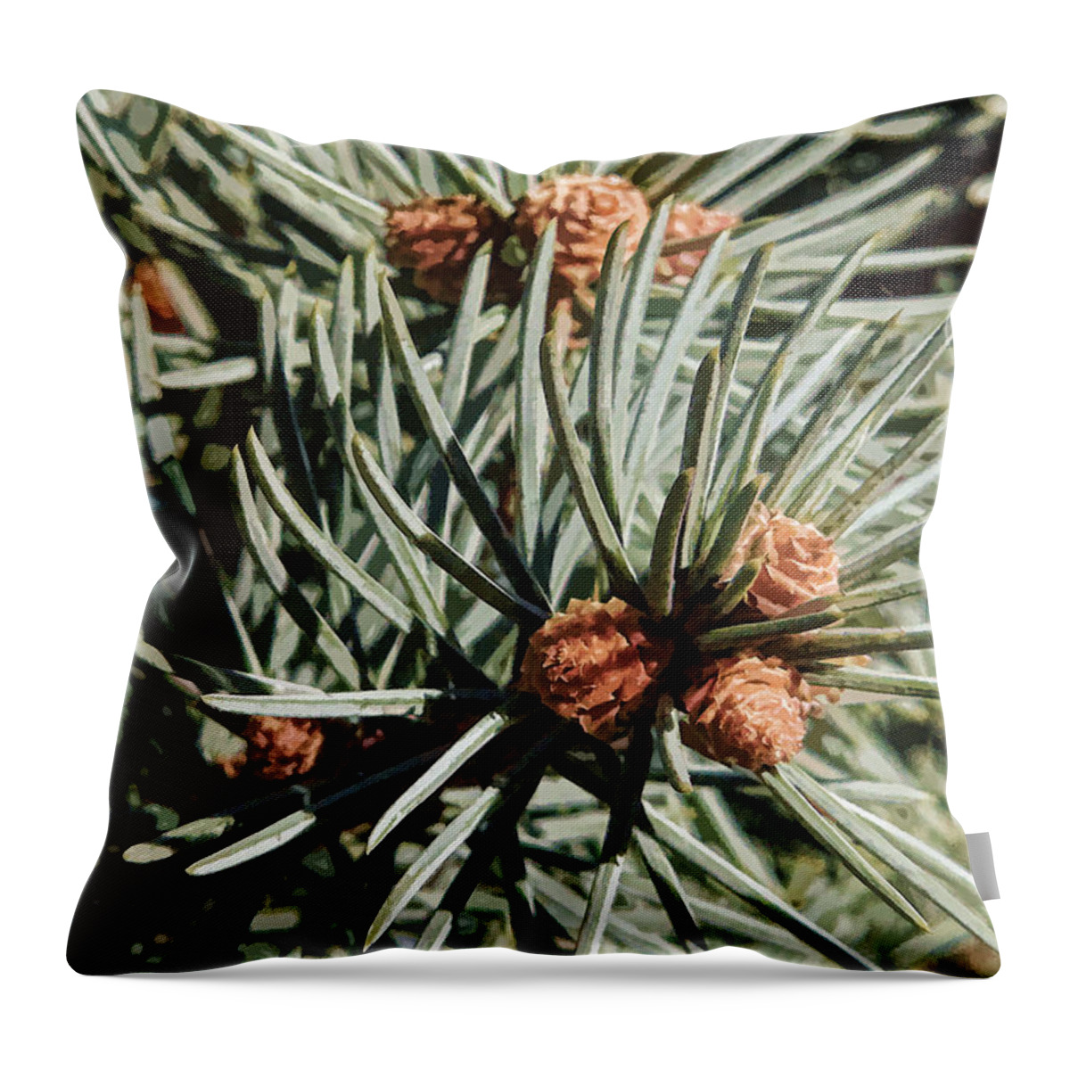 Fir Throw Pillow featuring the photograph Forest Jewels - Needles and Cones by HH Photography of Florida