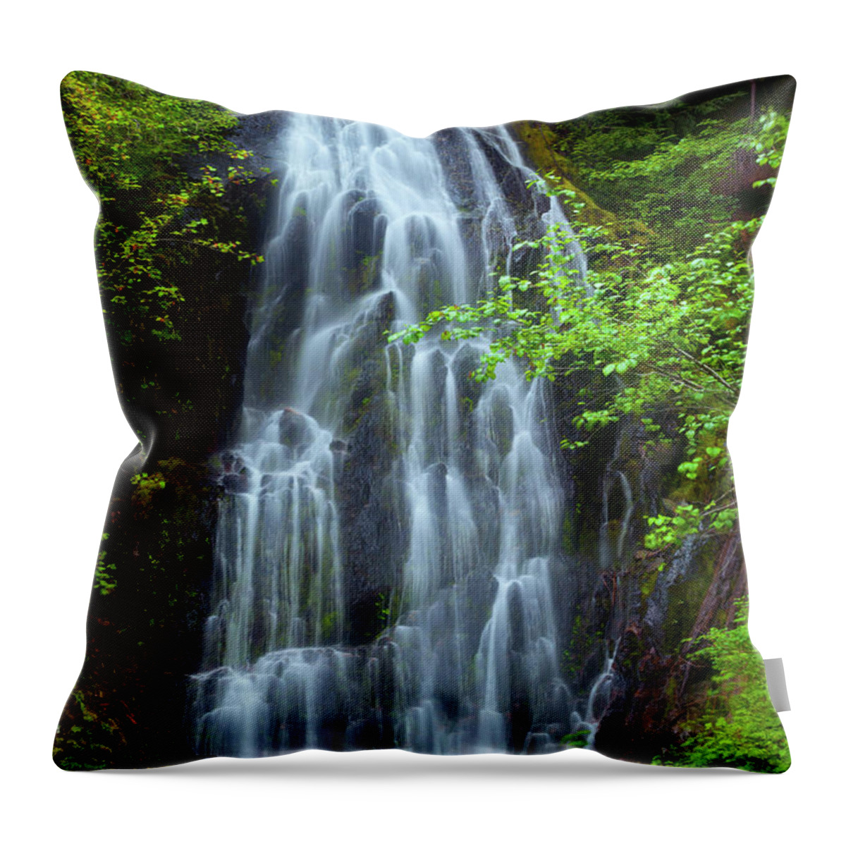 Waterfall Throw Pillow featuring the photograph Forest Lace by Michael Dawson