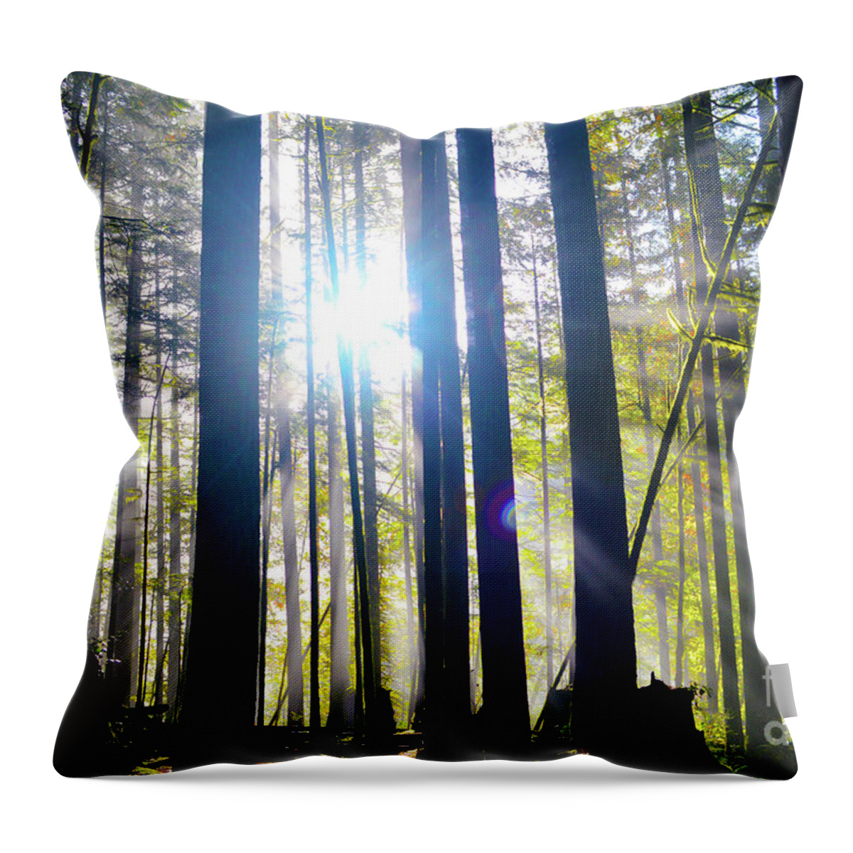Forest Throw Pillow featuring the photograph Forest Light Rays by Brian O'Kelly