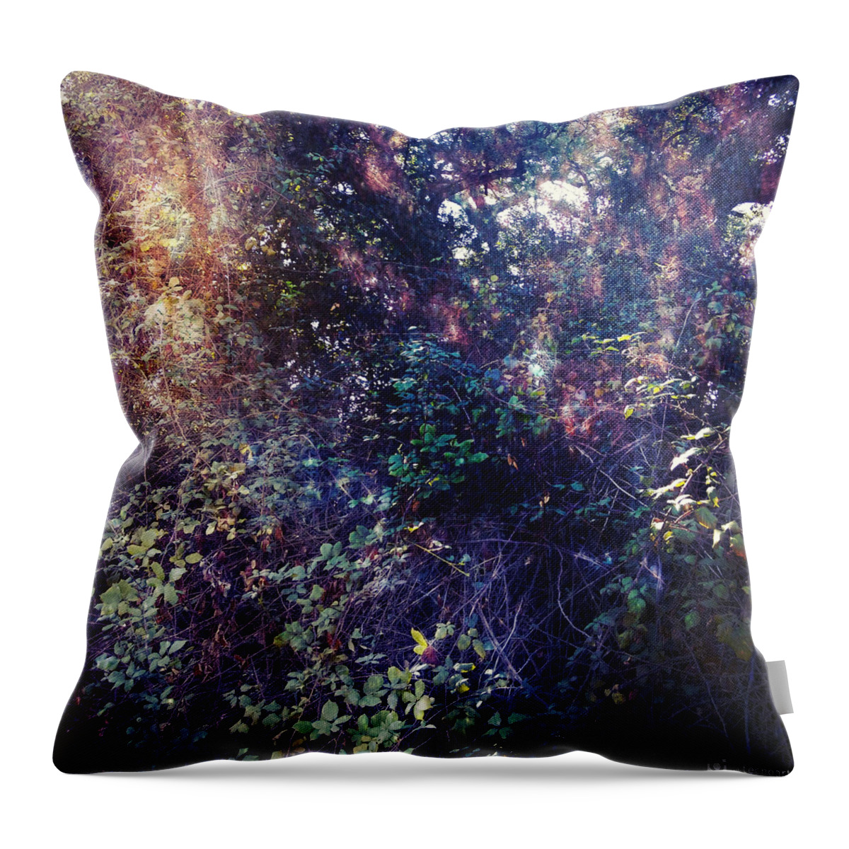 Forest Throw Pillow featuring the photograph Forest Nebula by Miguel Angel