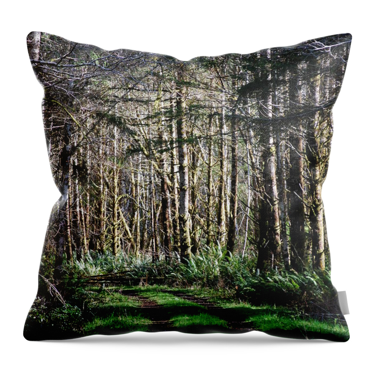 Forest Throw Pillow featuring the photograph Forest Road by Gene Ritchhart