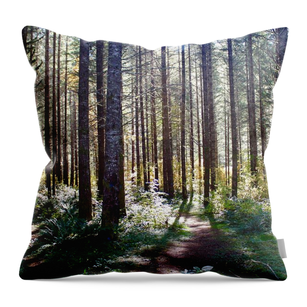 Forest Throw Pillow featuring the photograph Forest Stroll by Brian Eberly