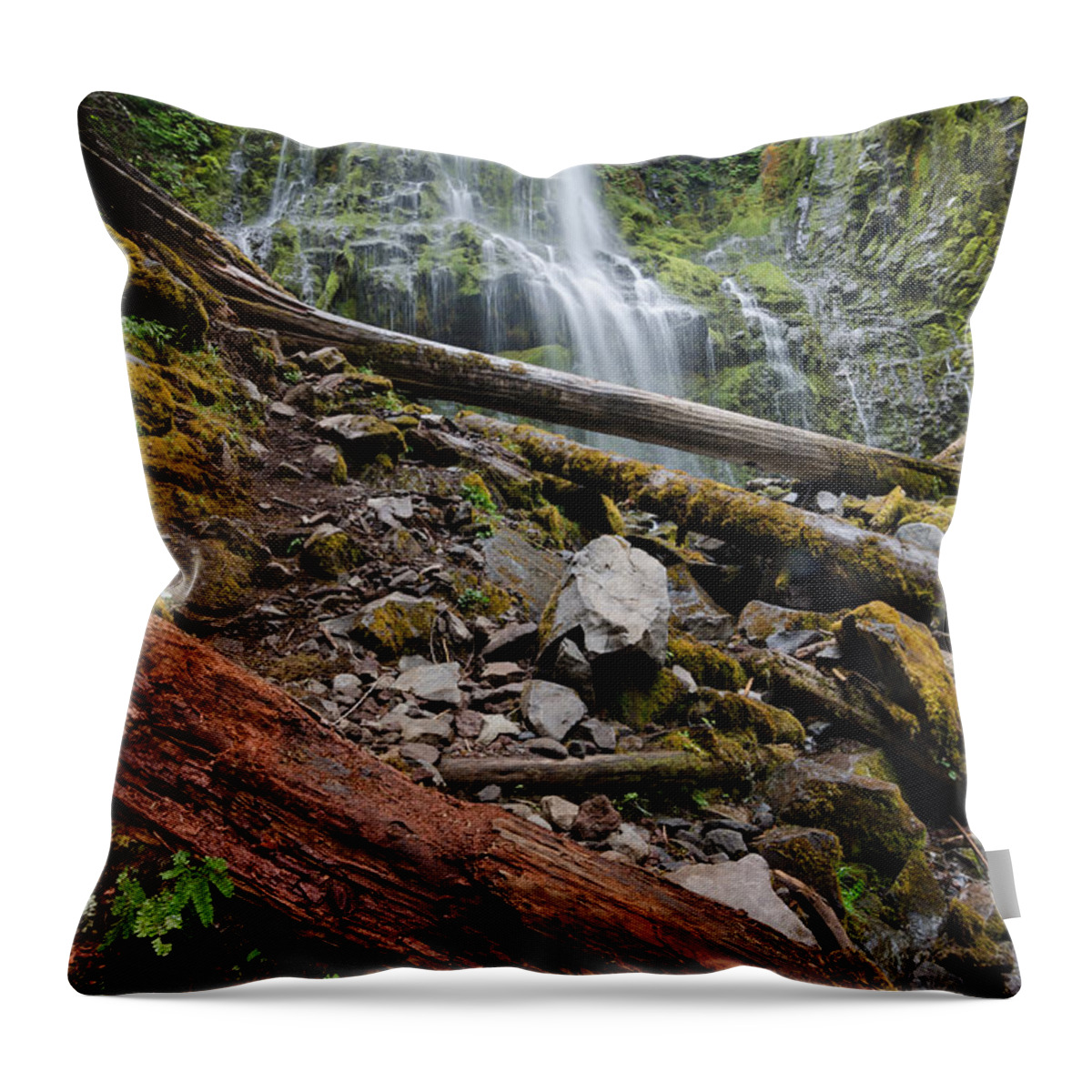 Waterfall Throw Pillow featuring the photograph Forest Vibrance by Margaret Pitcher