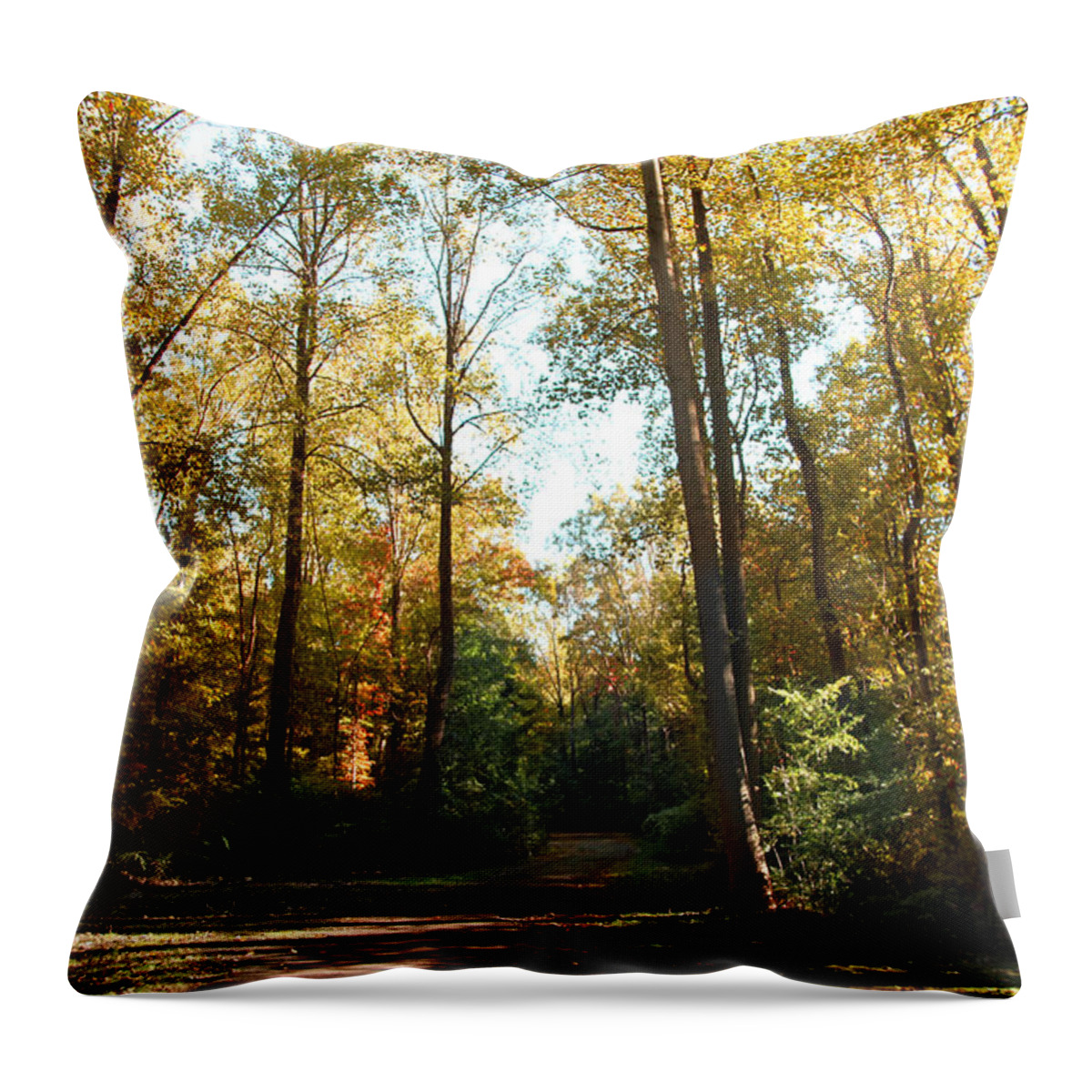 Landscape Throw Pillow featuring the photograph Forest Walk by Joseph G Holland