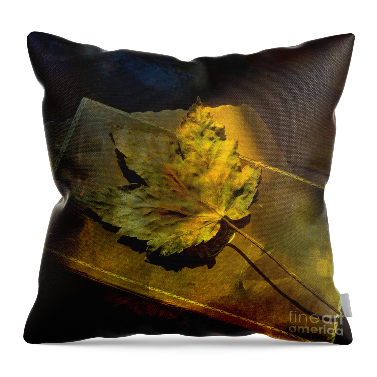 Book Throw Pillow featuring the photograph Forever Autumn by LemonArt Photography