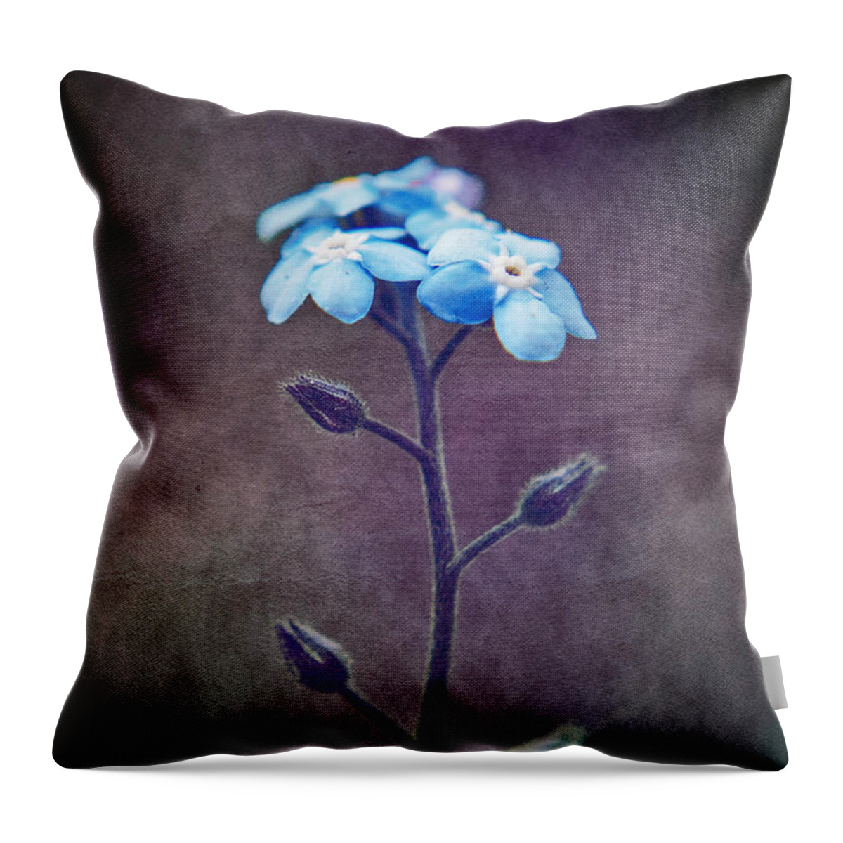 forget Me Not Throw Pillow featuring the photograph Forget Me Not 04 - s6ct7b by Variance Collections
