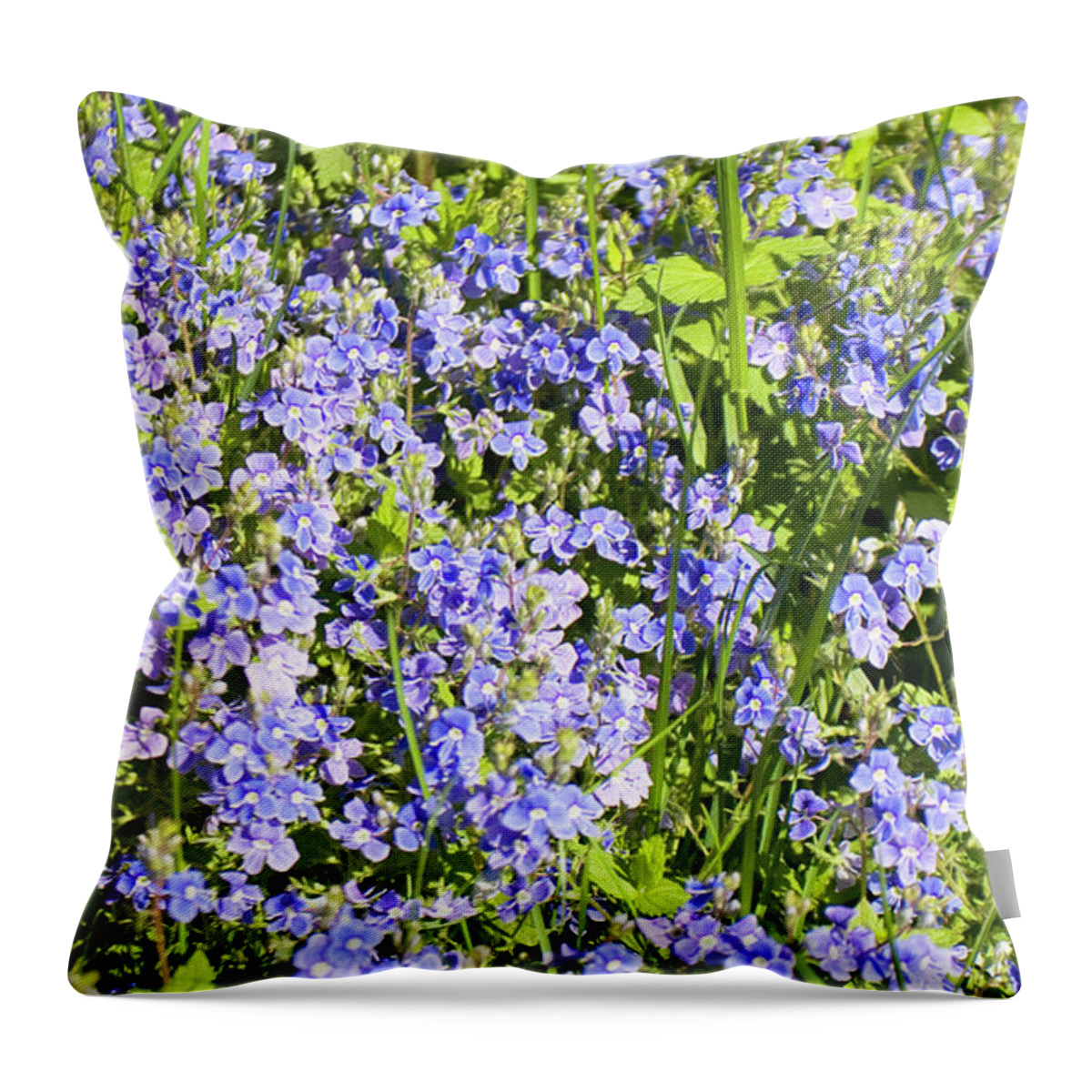 Blossom Throw Pillow featuring the photograph Forget-me-not - Myosotis by Irina Afonskaya