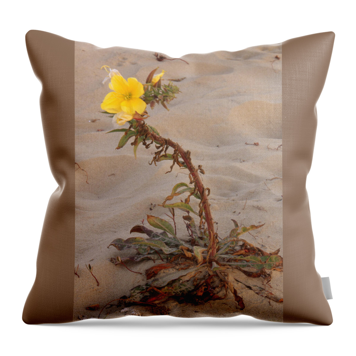 Flower Throw Pillow featuring the photograph Forget Where - California by Soli Deo Gloria Wilderness And Wildlife Photography